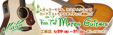 メイトンフェア『Feel the Maton Guitars』のバナー