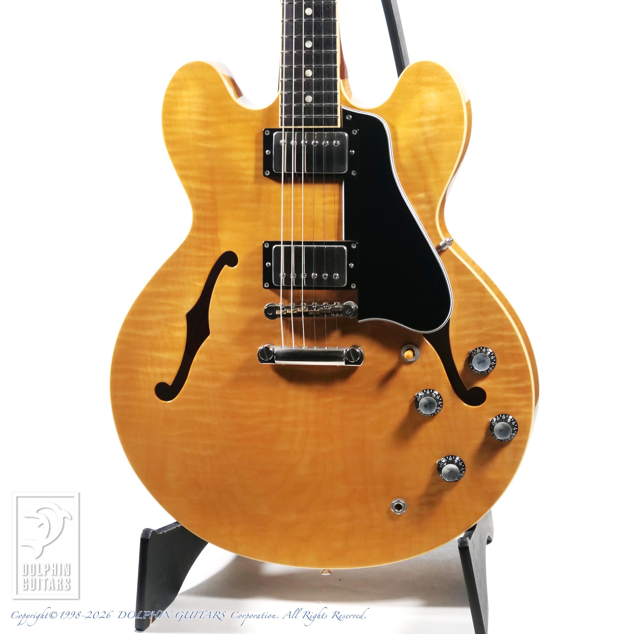 TOKAI 1ページ / ドルフィンギター ズお茶の間ショッピング