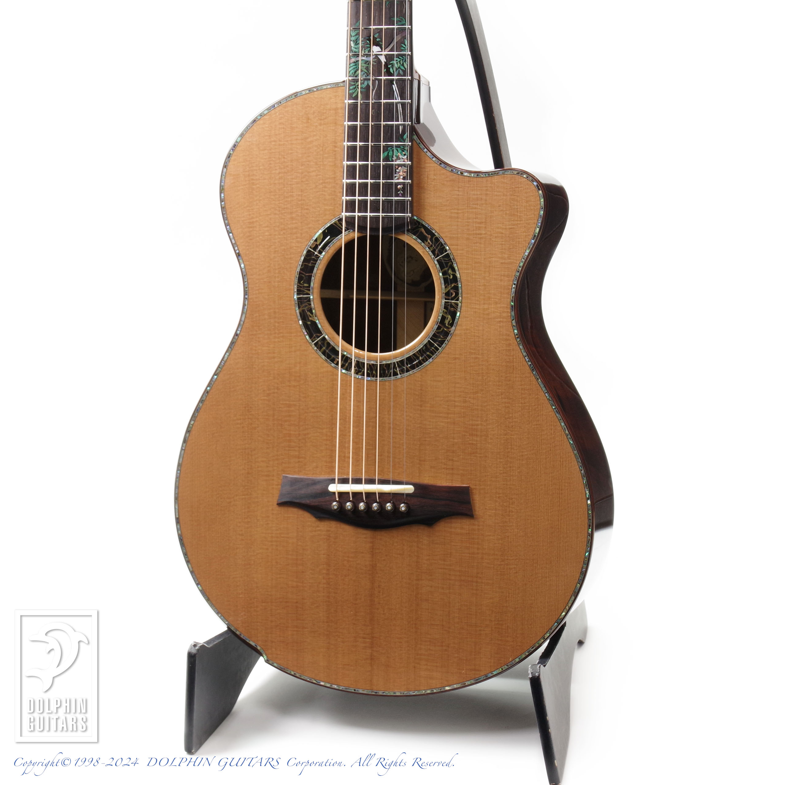 ACOUSTIC GUITAR 1ページ / ドルフィンギター ズお茶の間ショッピング