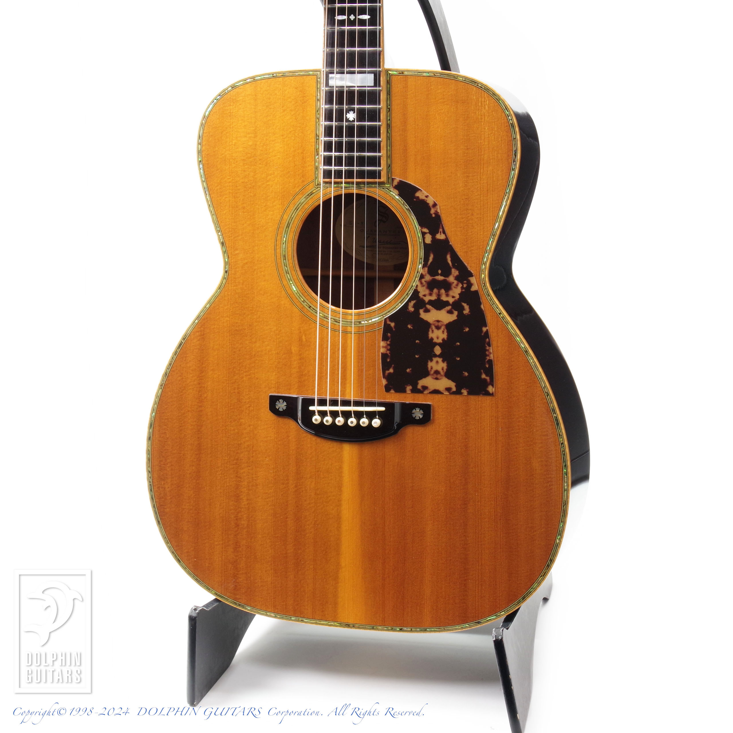 SHELLY 1ページ / ドルフィンギター ズお茶の間ショッピング