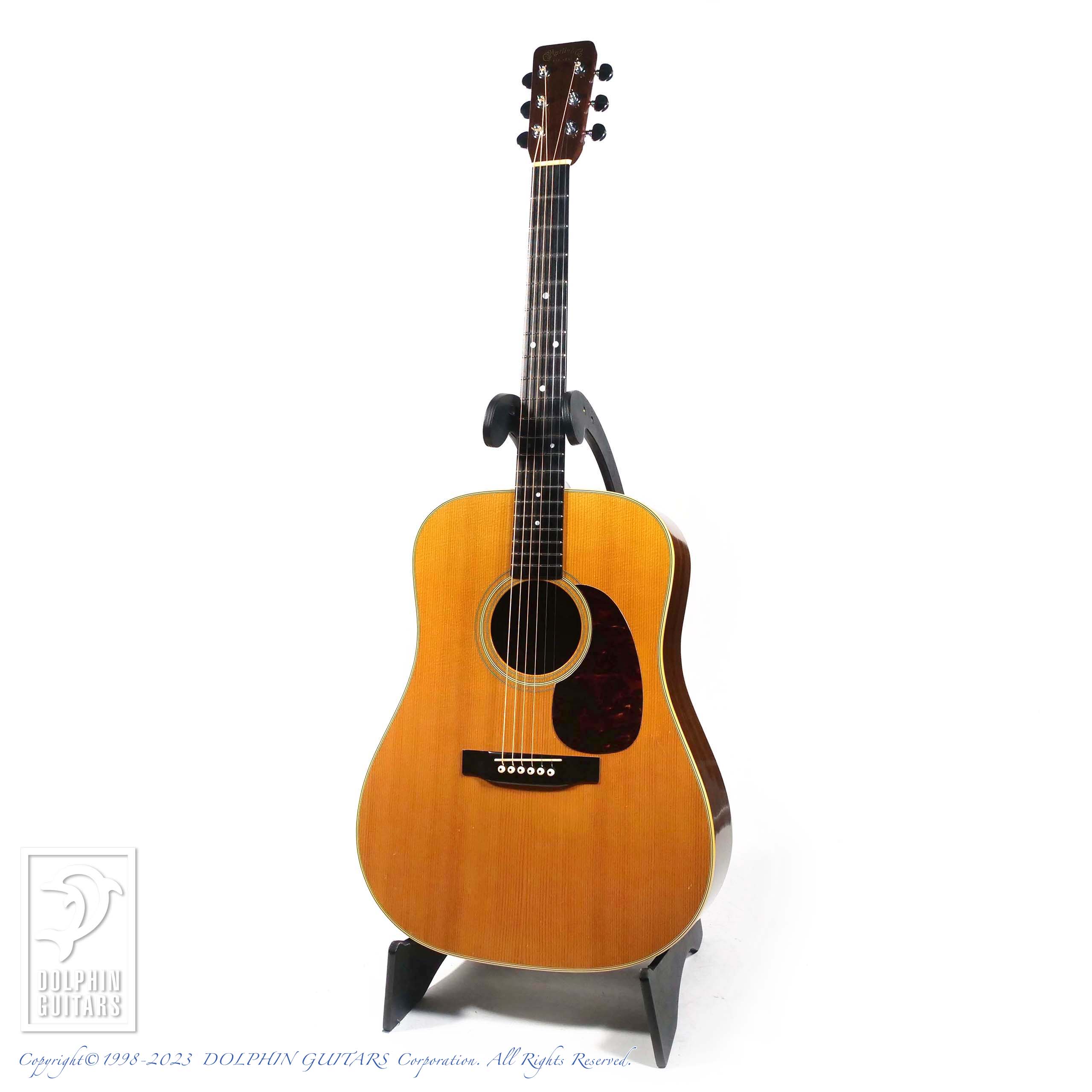 ドルフィンライブ　キツメ 