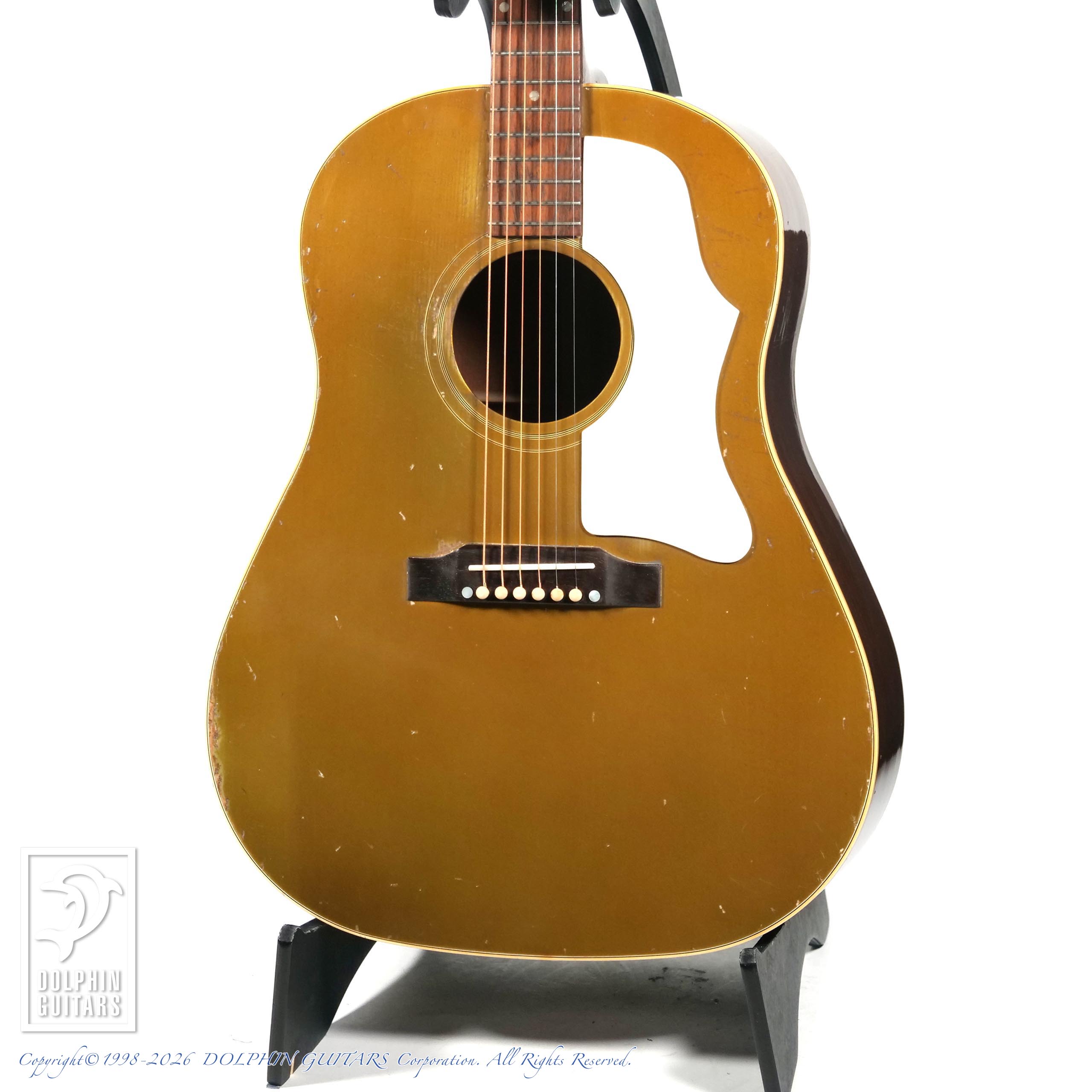 TOPページ / ドルフィンギター ズお茶の間ショッピング