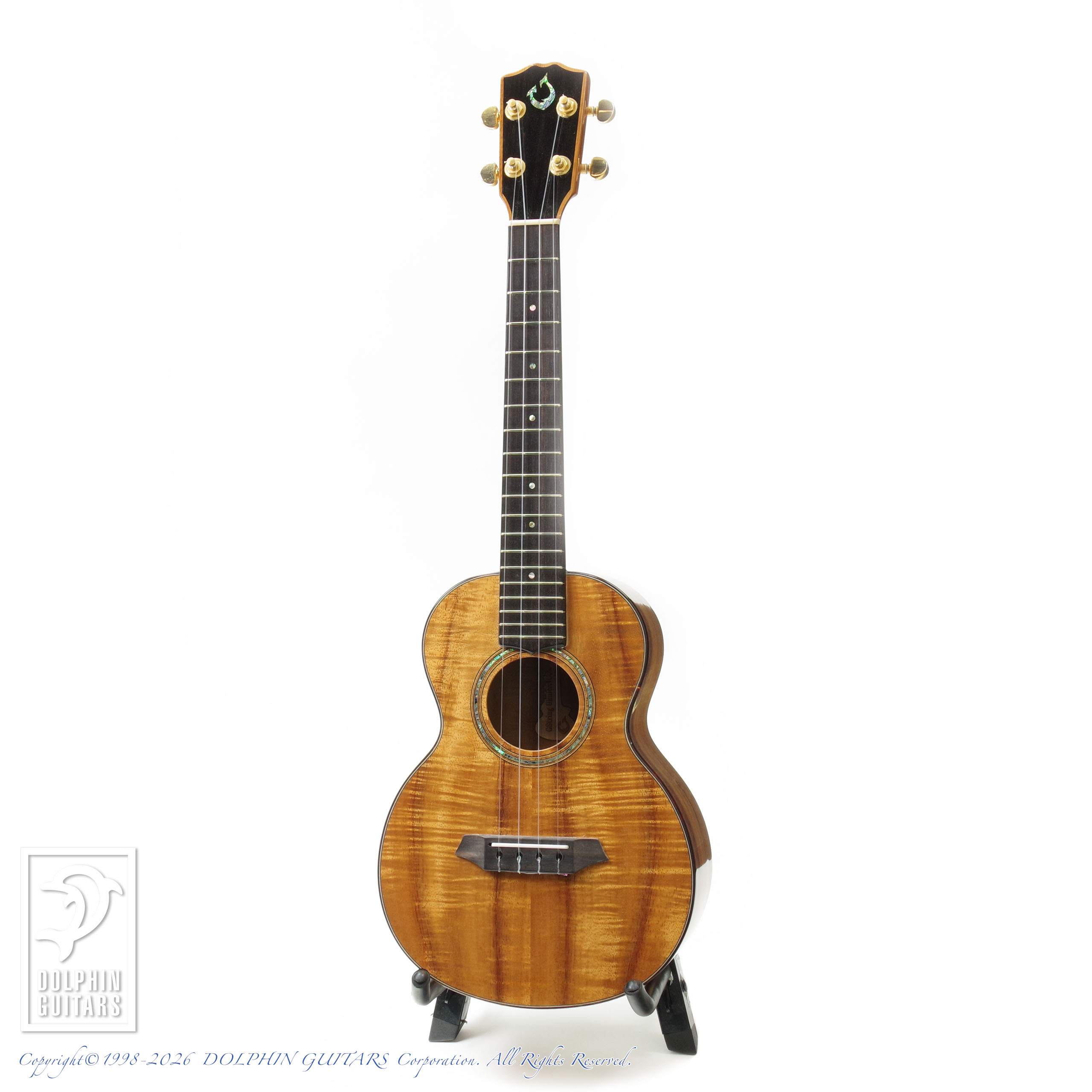 G STRING:T4 (Tenor Ukulele)画像2