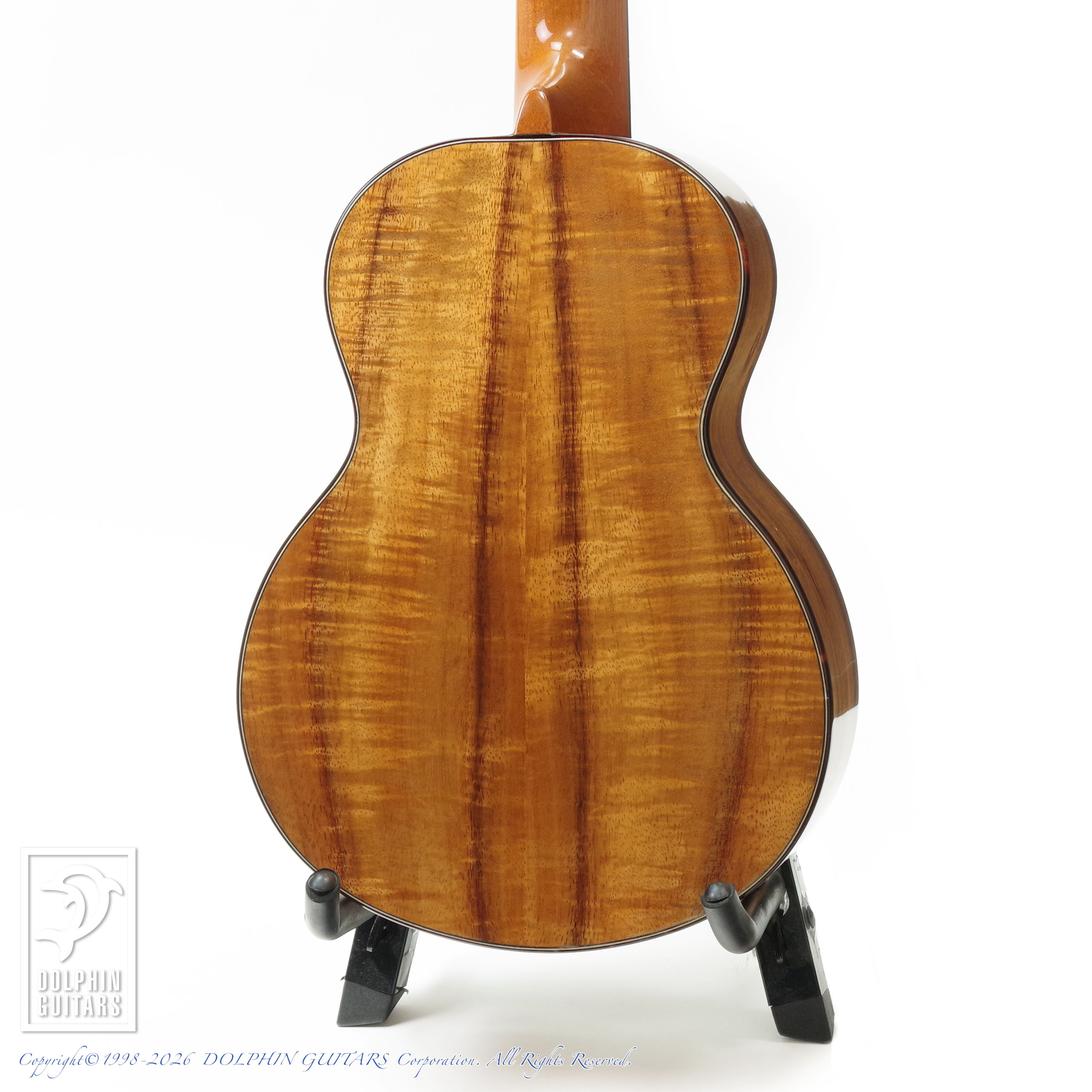 G STRING:T4 (Tenor Ukulele)画像3