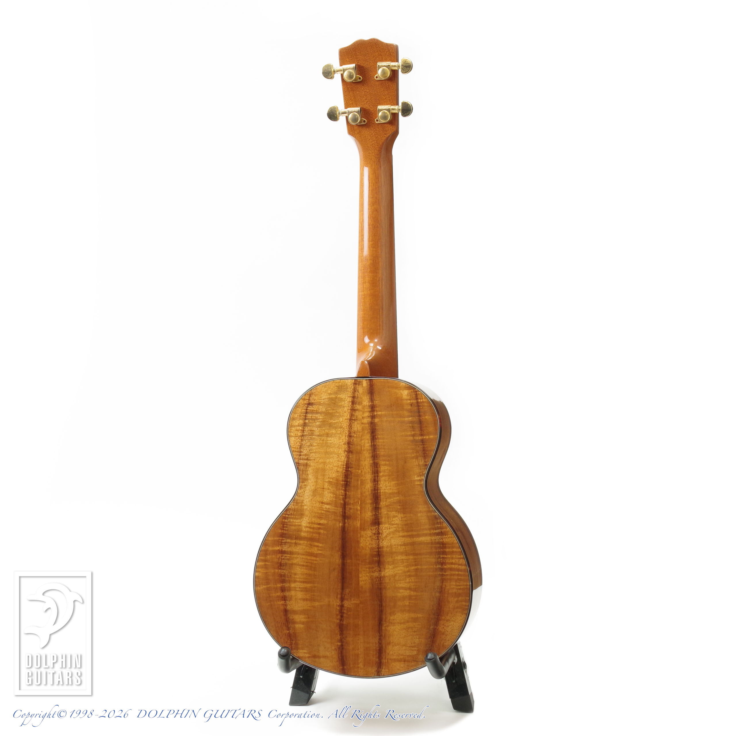 G STRING:T4 (Tenor Ukulele)画像4