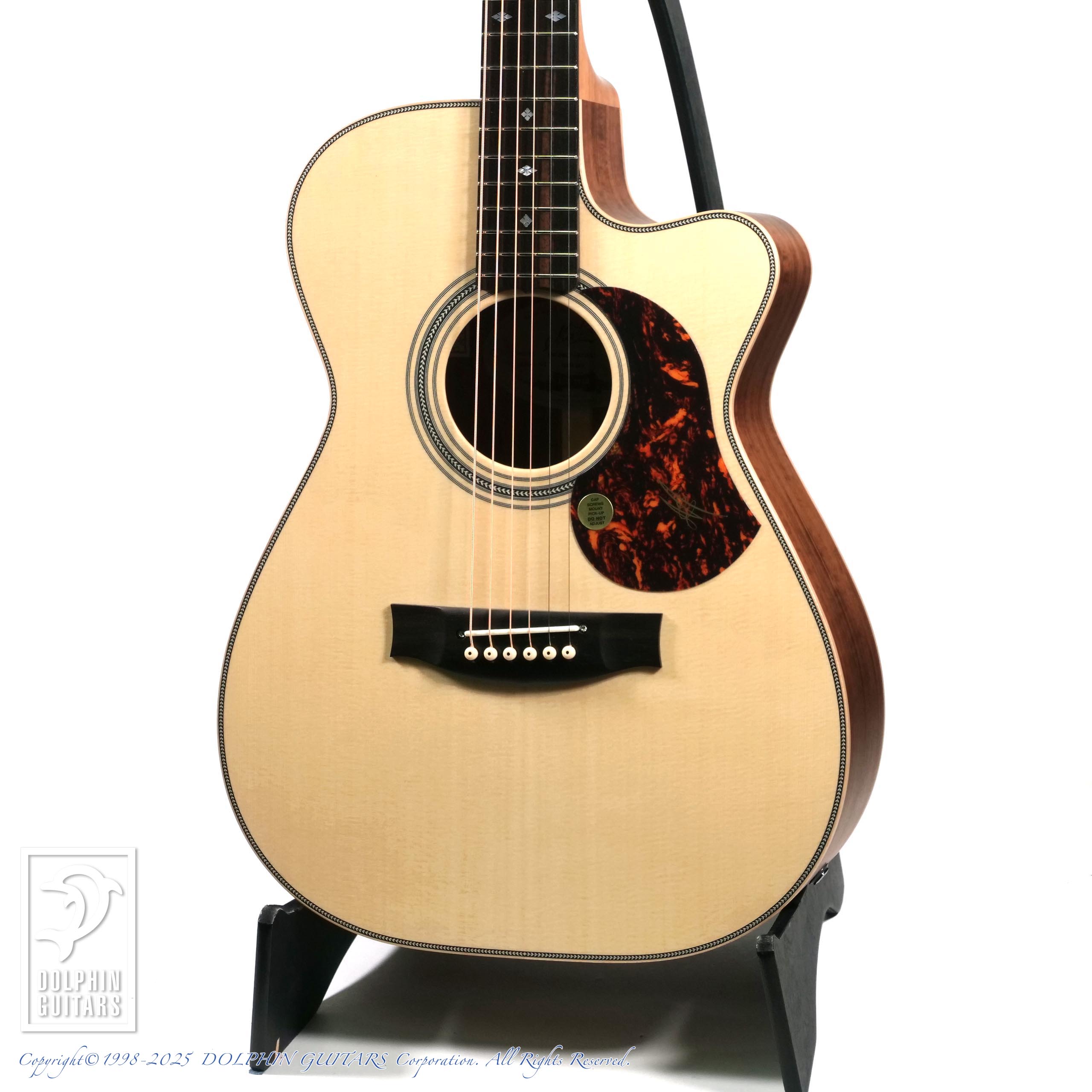 MATON:EBG808C Artist