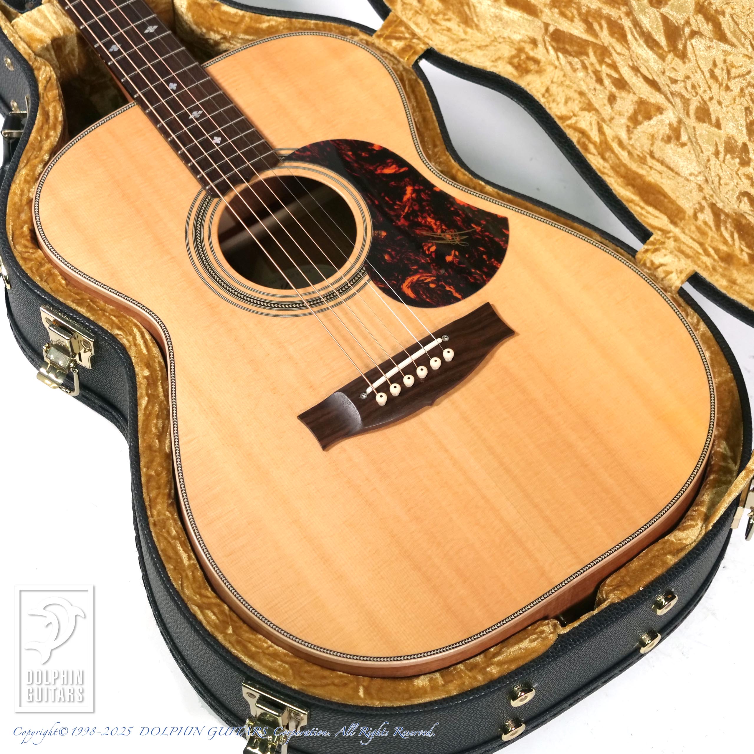 MATON:EBG808 Artist