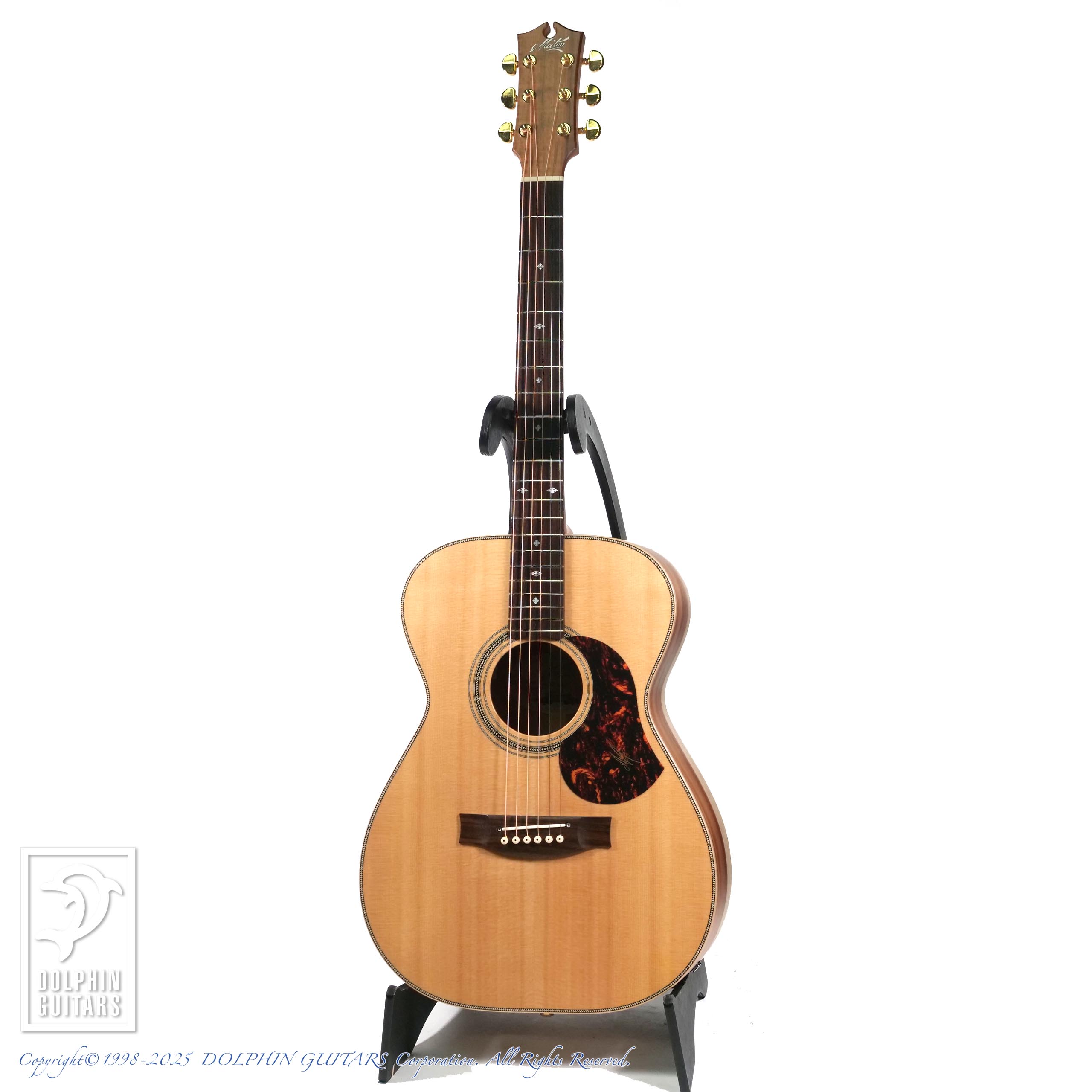 MATON:EBG808 Artist