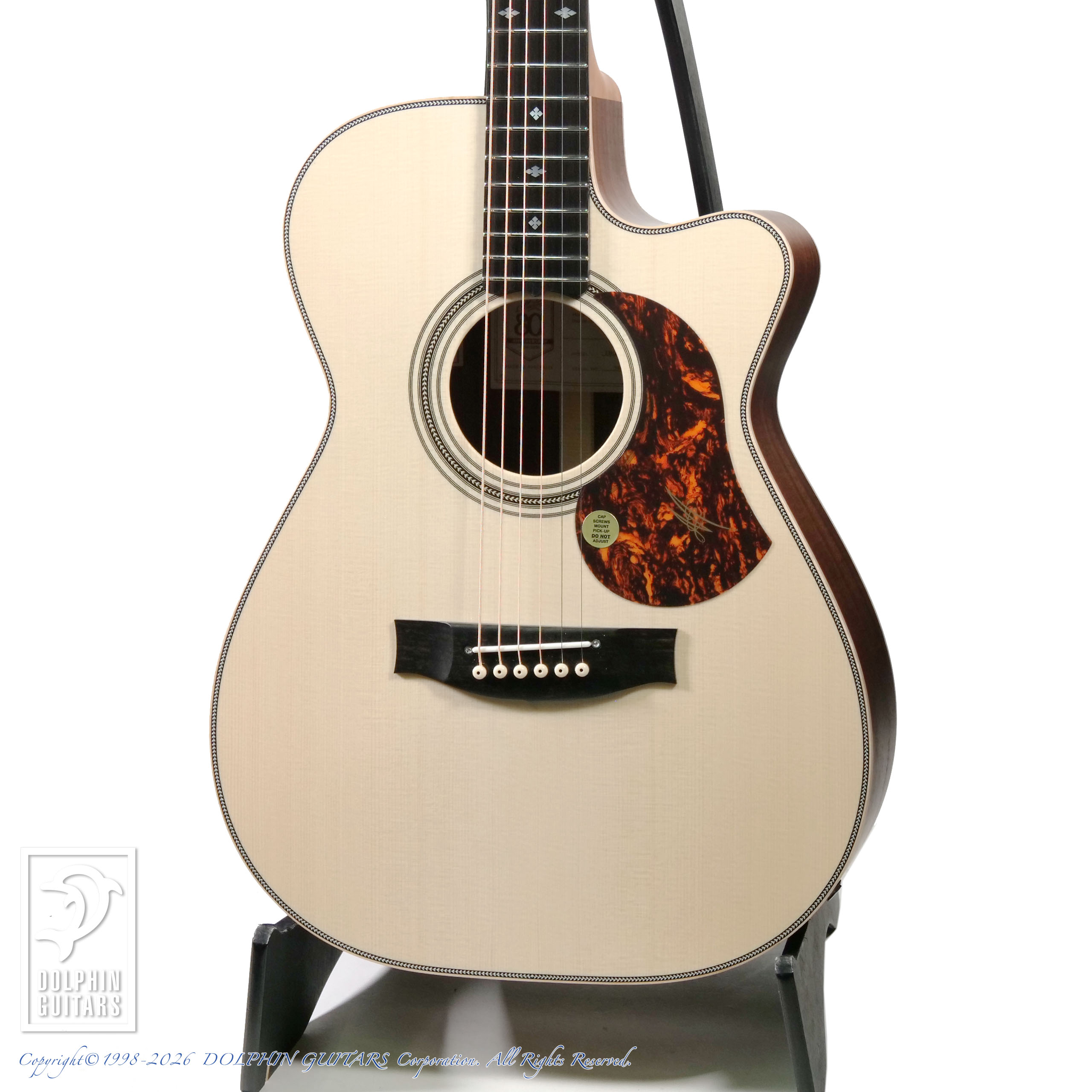 MATON:EBG808C Artist