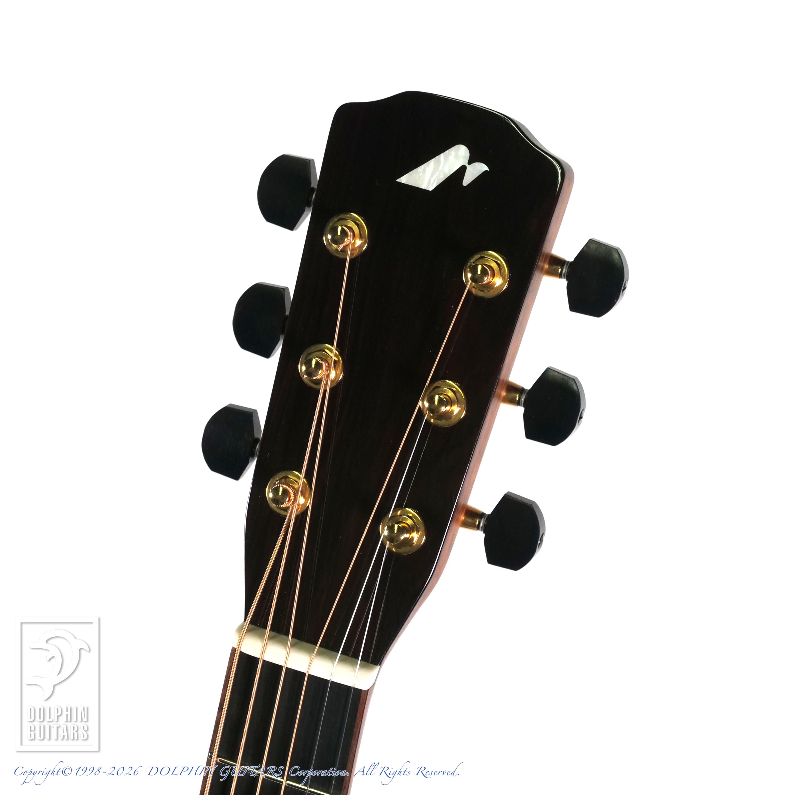 ギター Morris MORRIS:M-104BW Limited Edition For Finger Picking