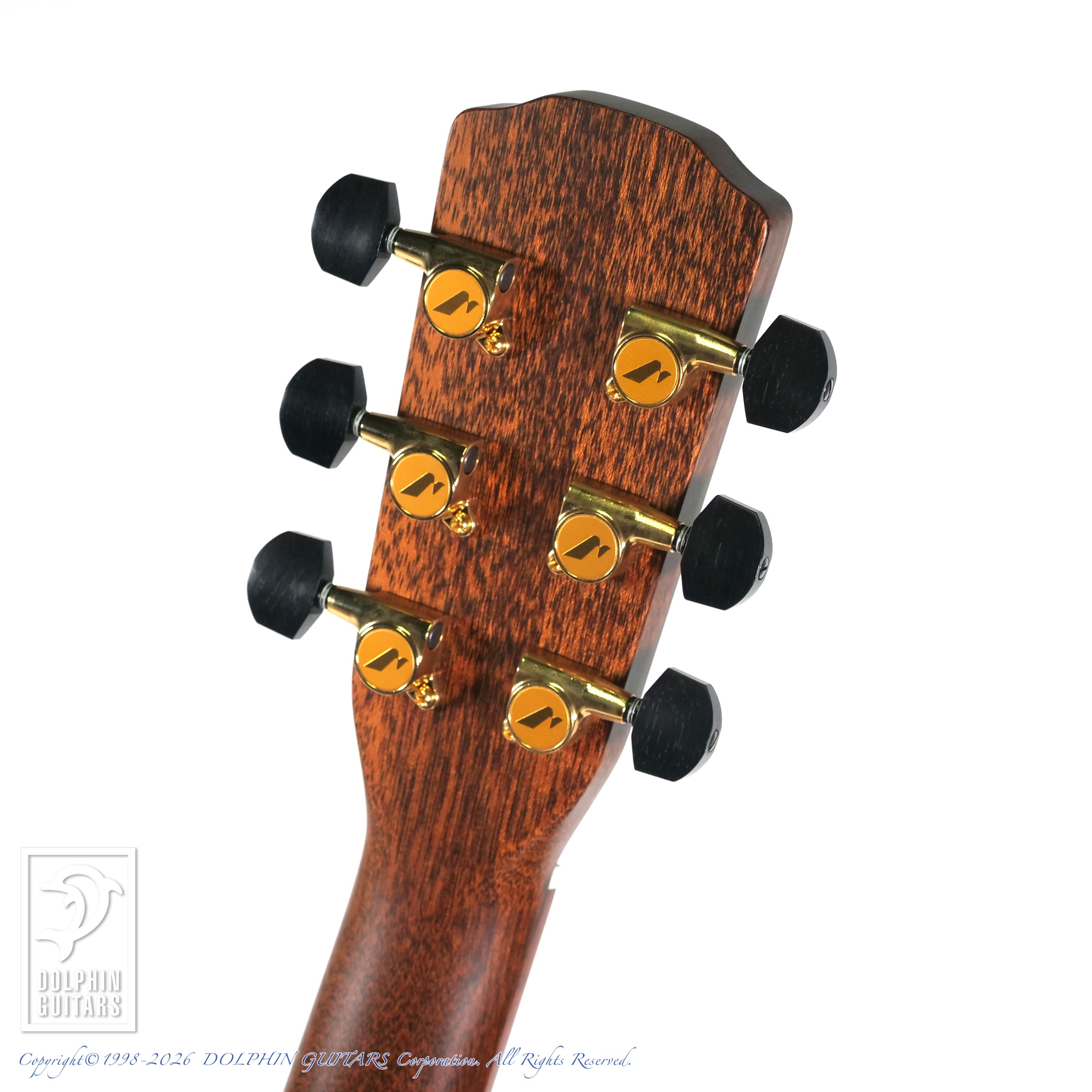 MORRIS:M-104BW Limited Edition For Finger Picking