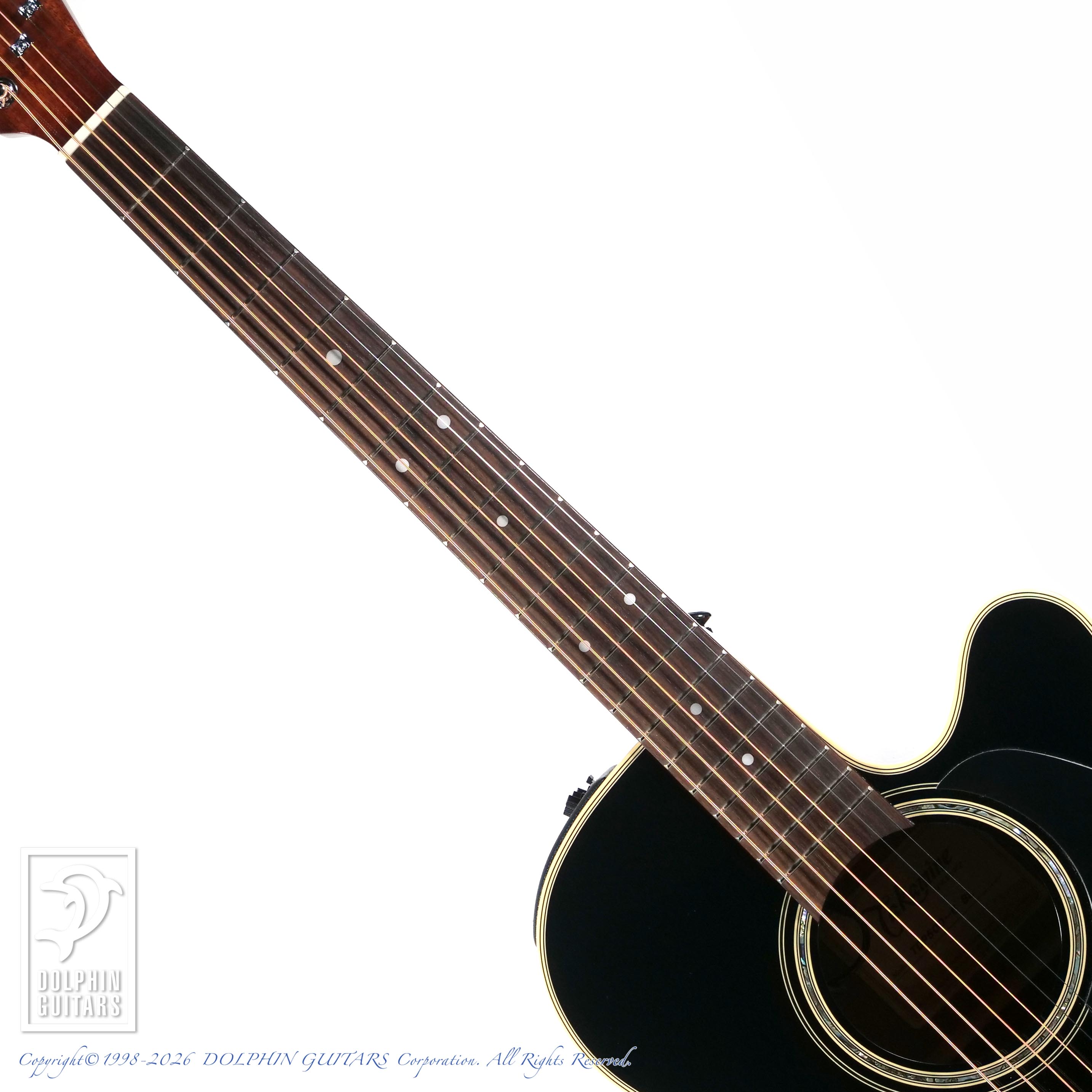 TAKAMINE:TDP500-6 BL
