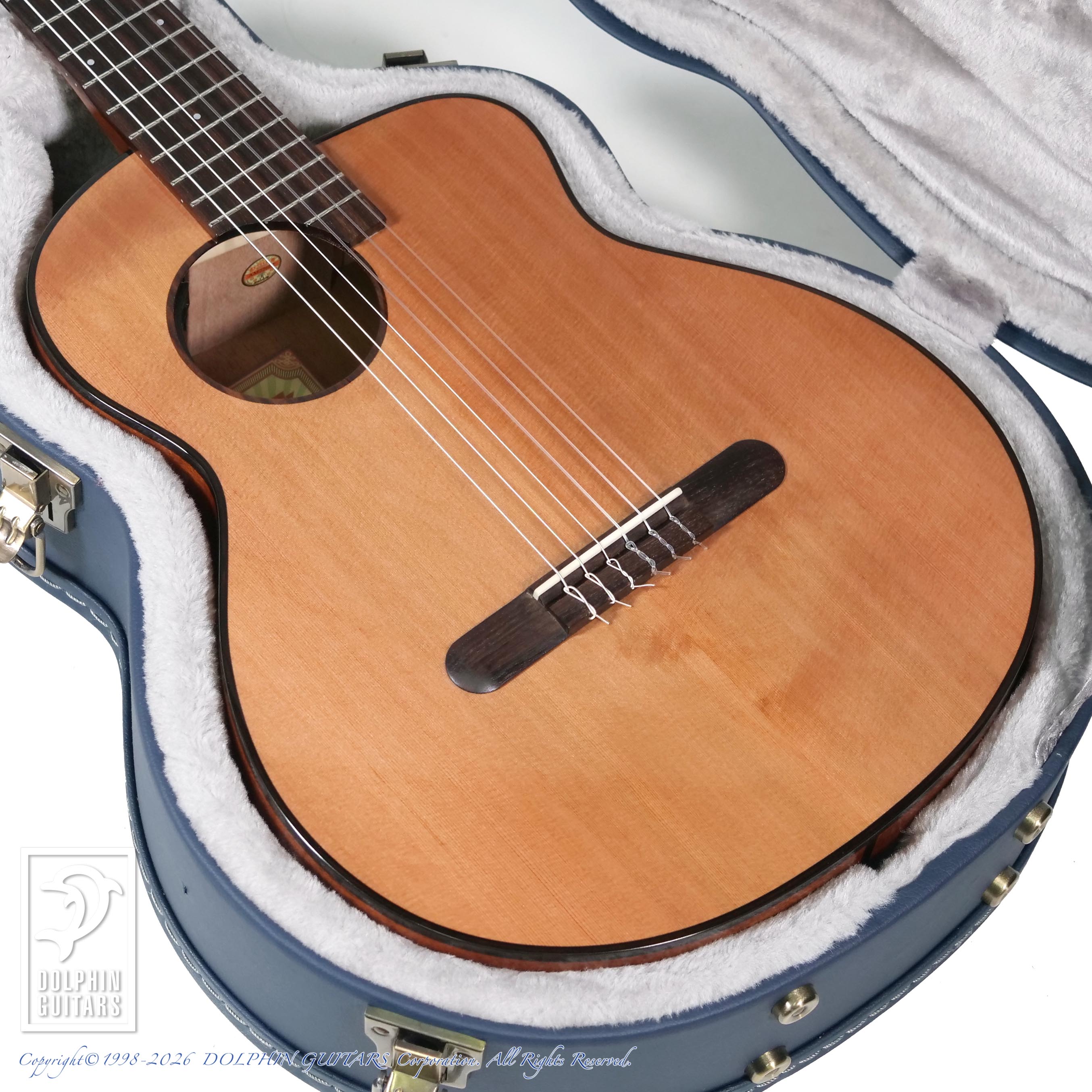aNueNue:aNN-MN14E (Nylon Strings)