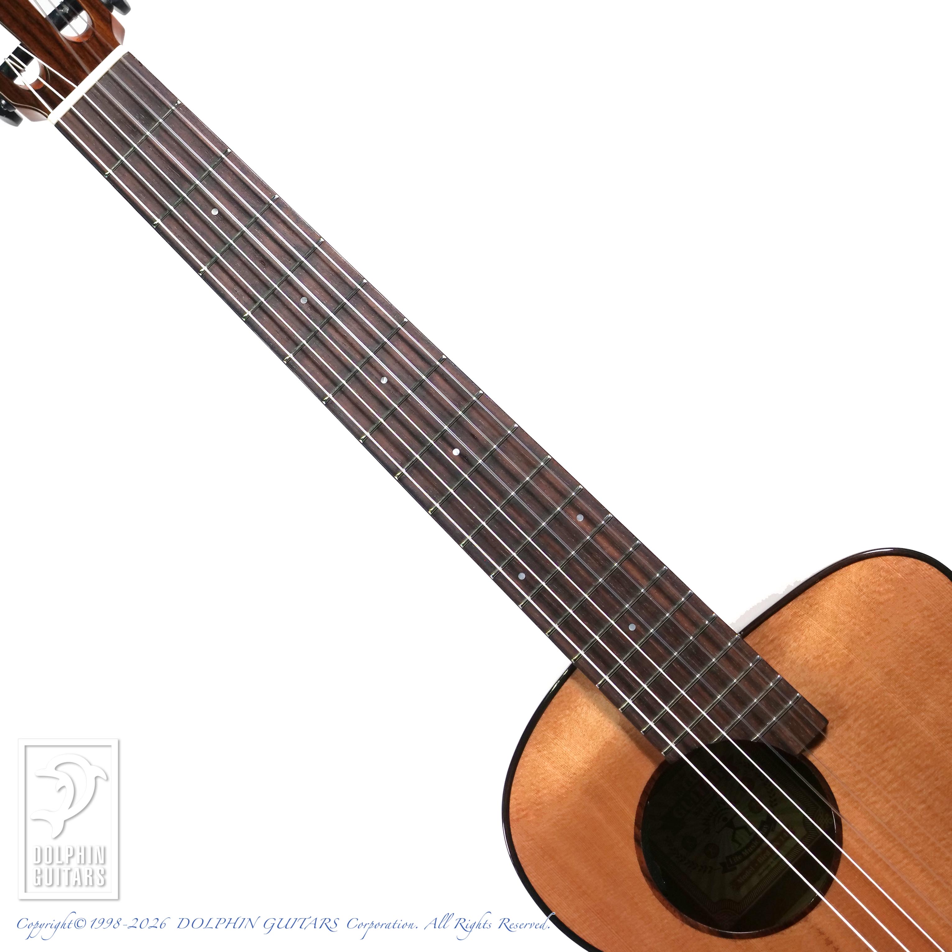 aNueNue:aNN-MN14E (Nylon Strings)
