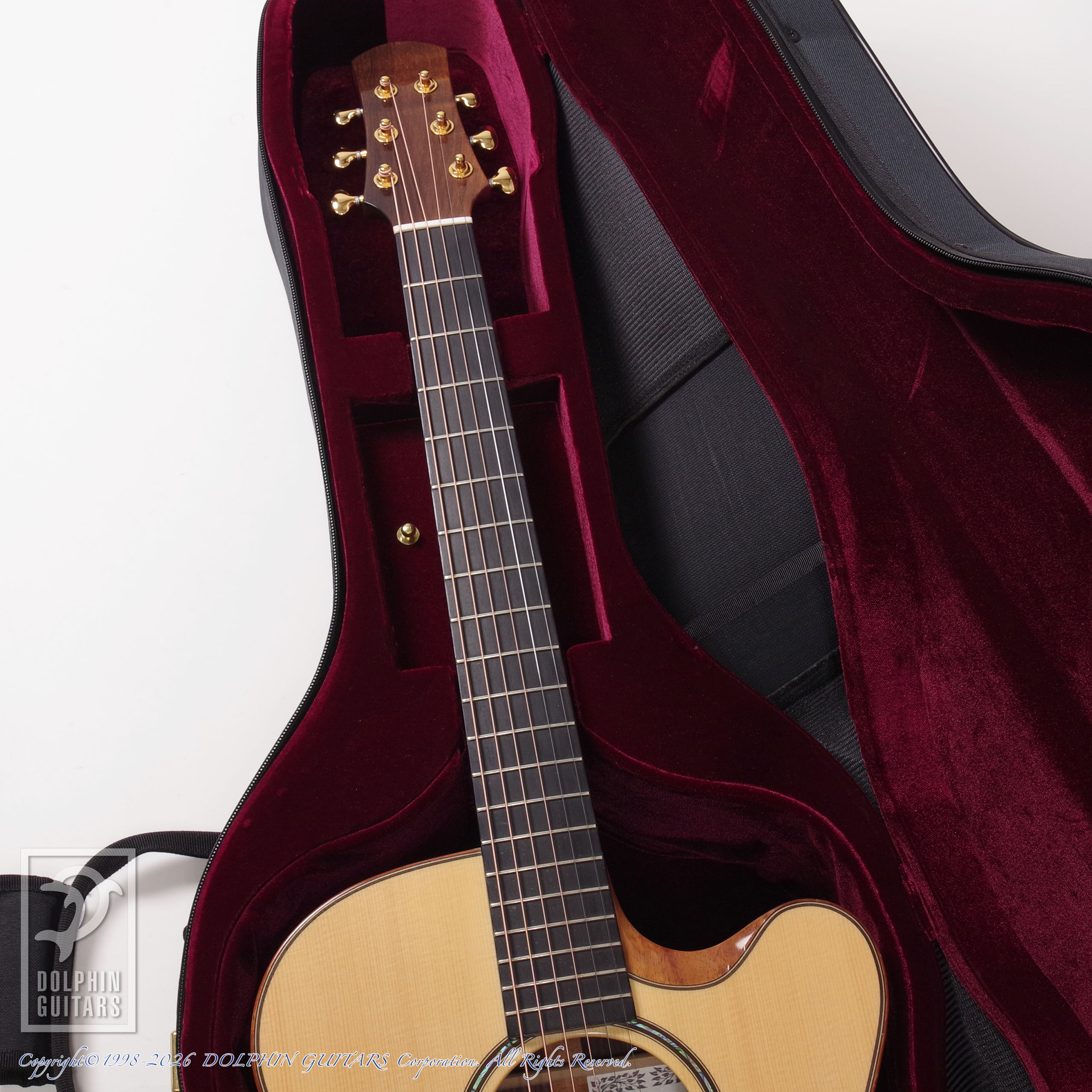 ASTURIAS:Grand Solo Premio SR画像8