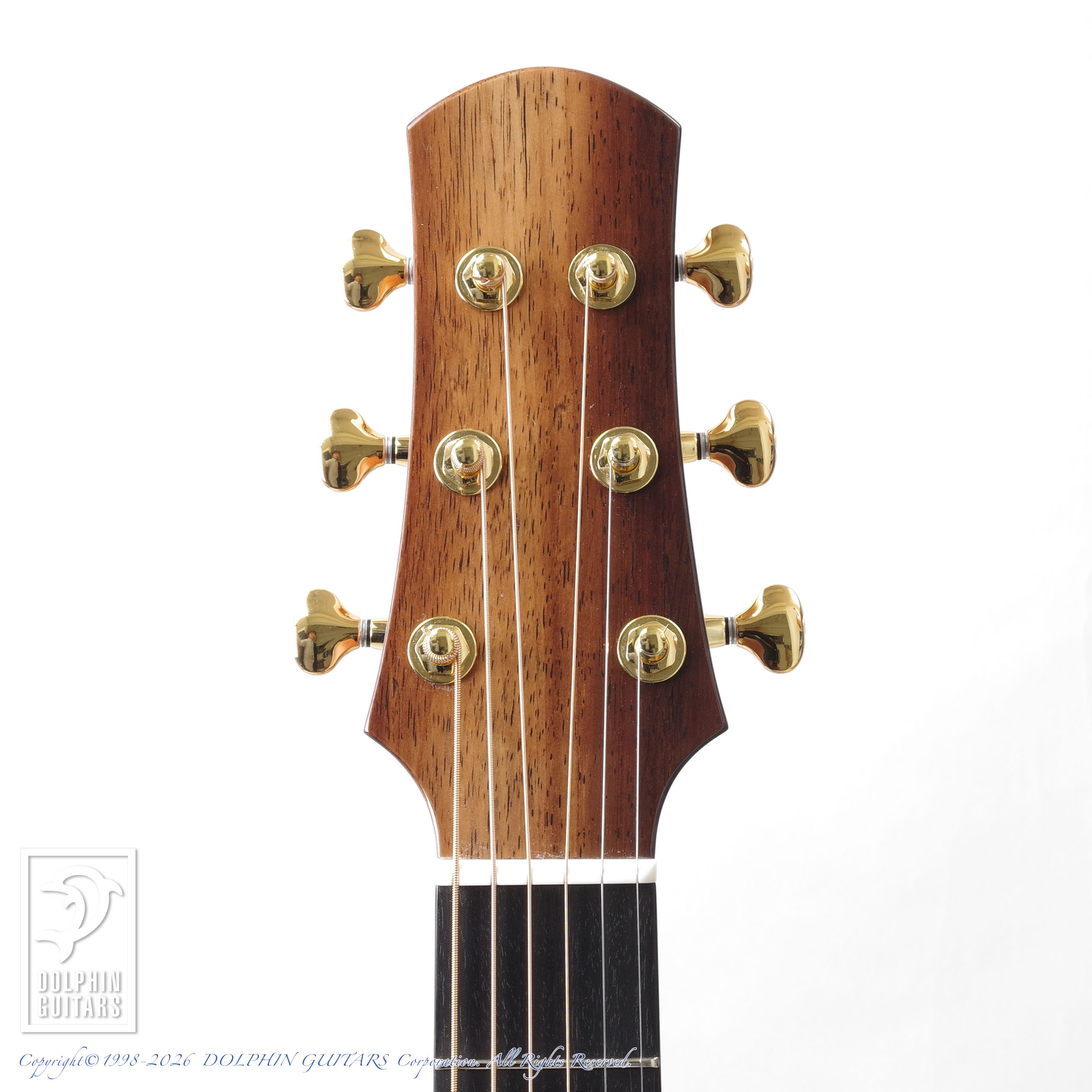 ASTURIAS:Grand Solo Premio SR画像6