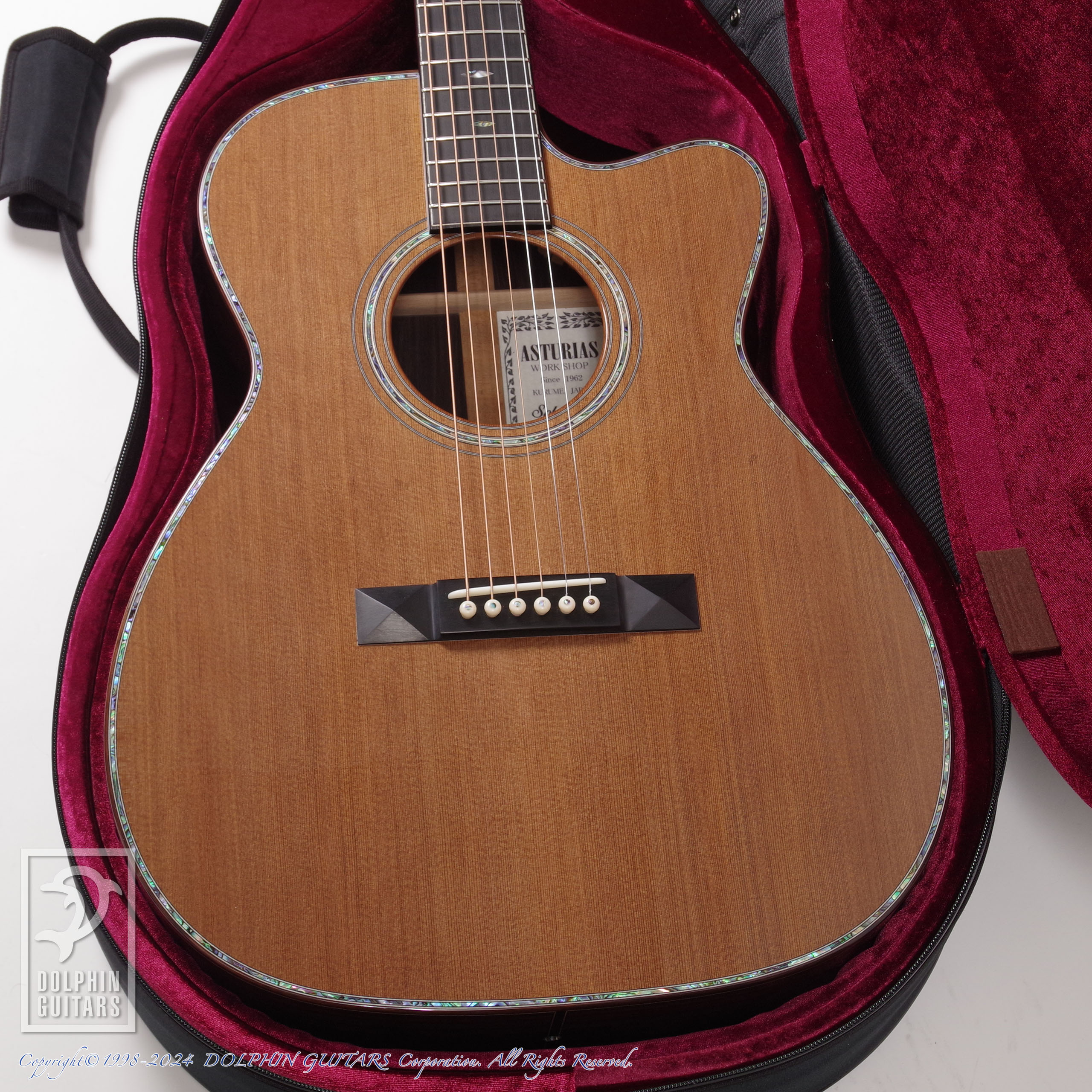 ASTURIAS:Solo Premium Custom CC