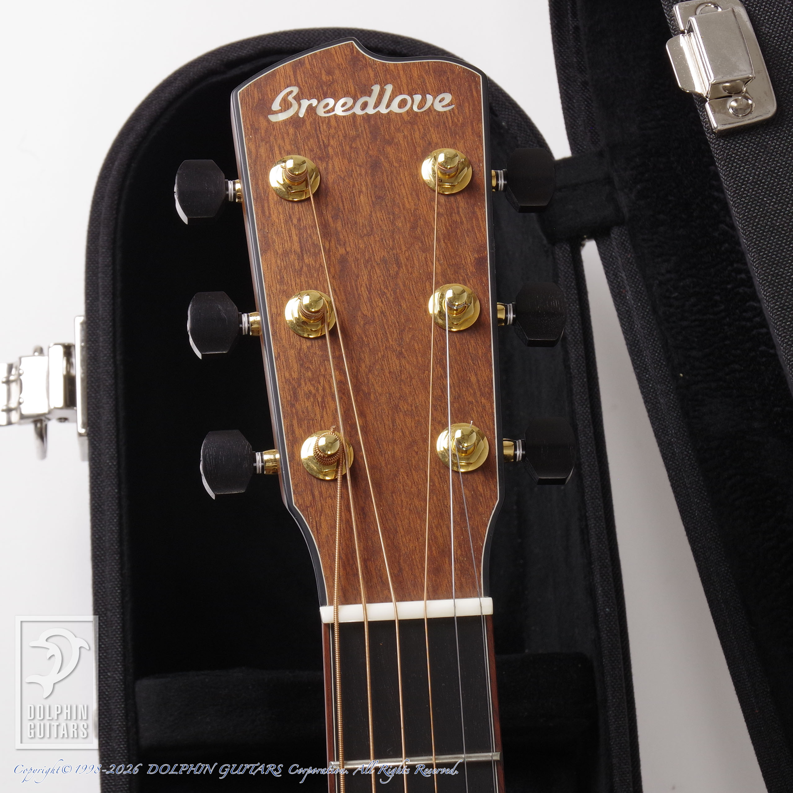 Breedlove:Ed Gerhard Signature DAS画像6