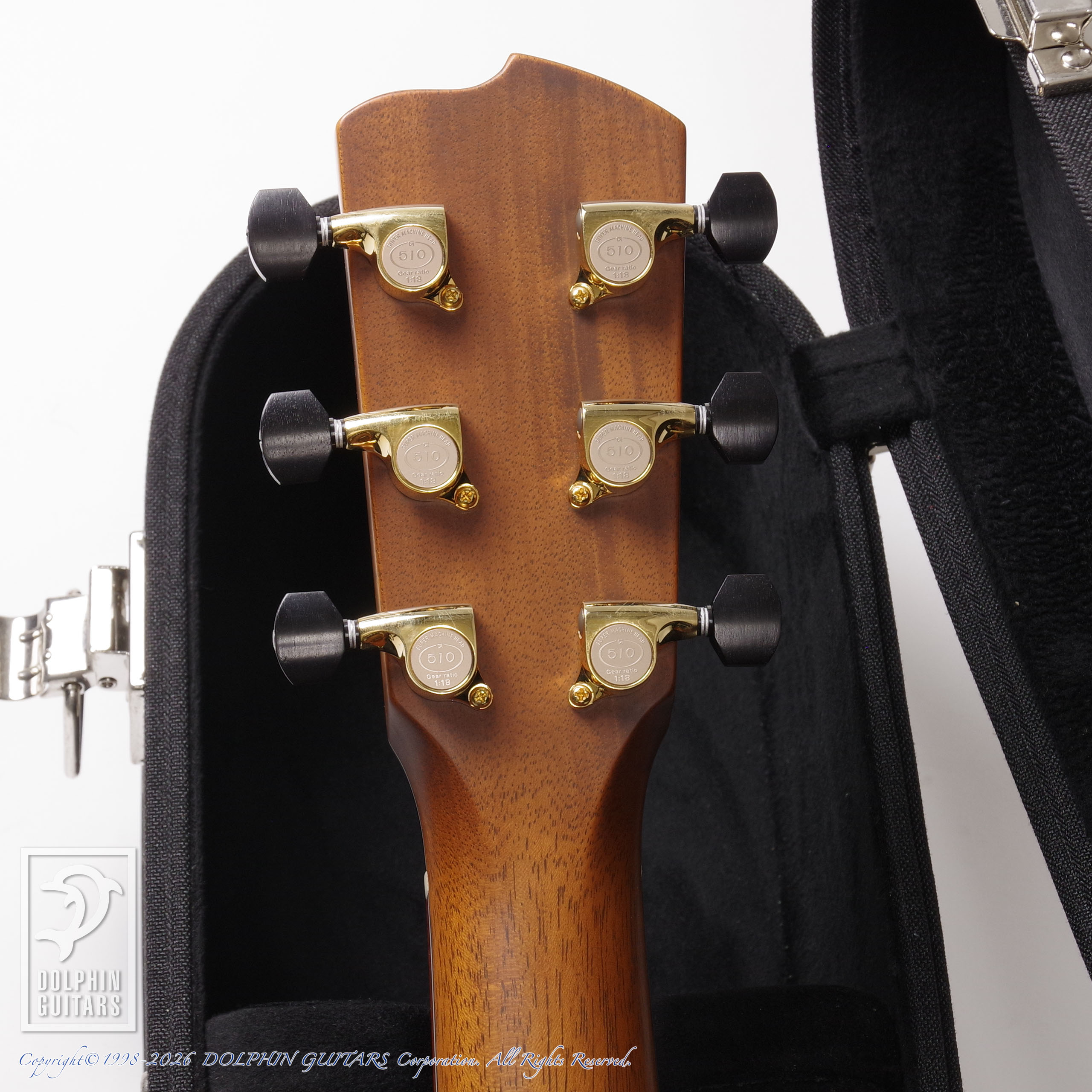 Breedlove:Ed Gerhard Signature DAS画像7
