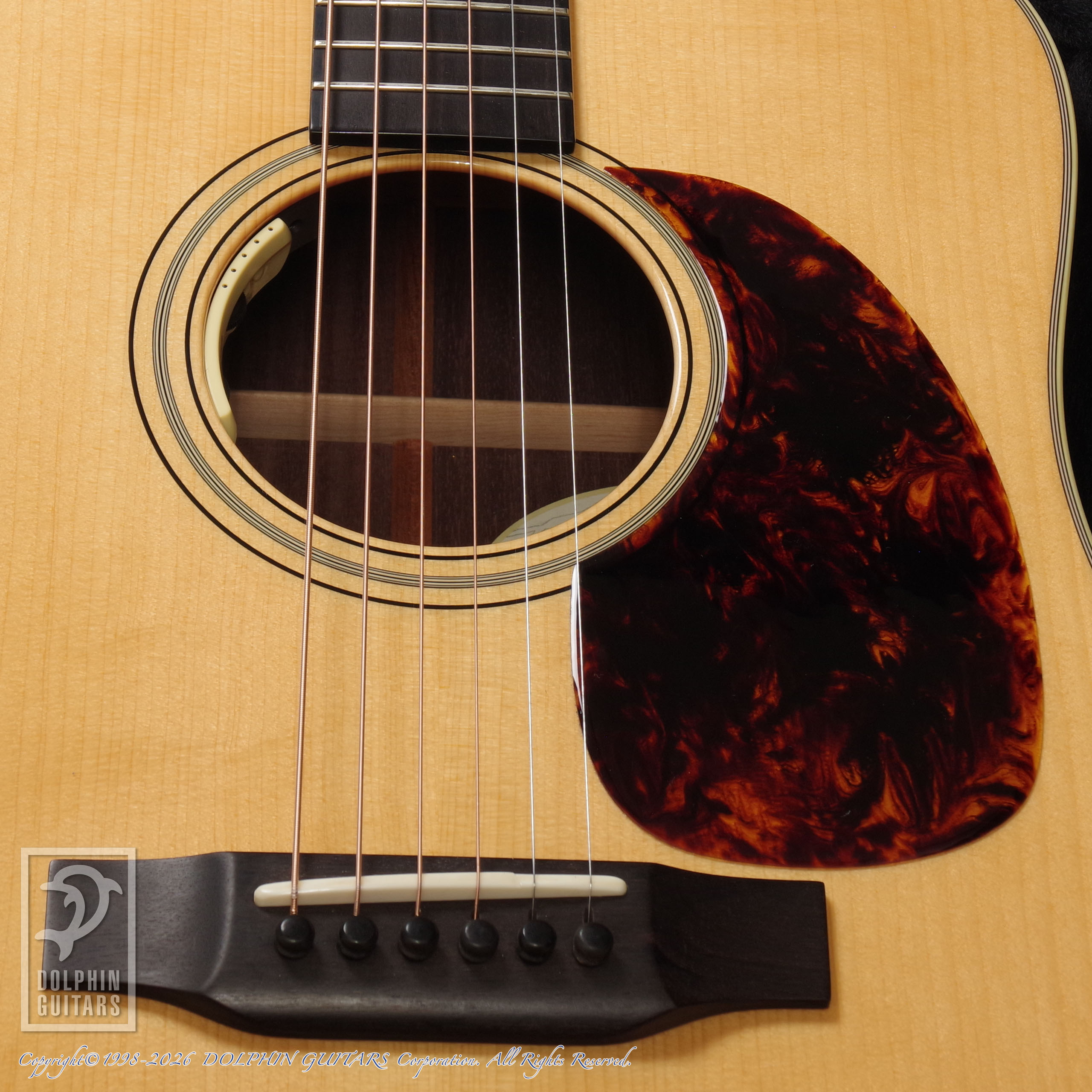Breedlove:DR Deluxe Custom画像12
