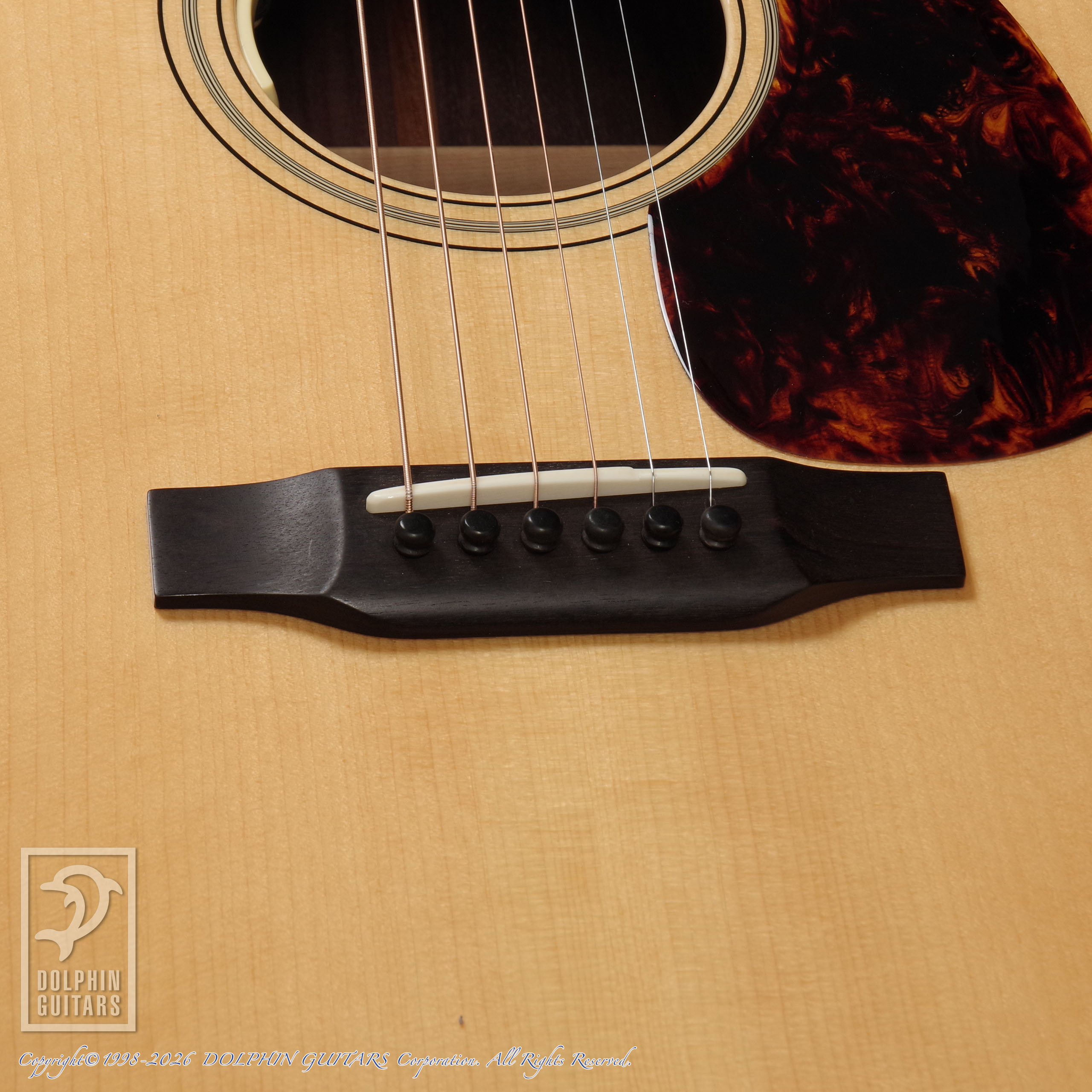 Breedlove:DR Deluxe Custom画像11