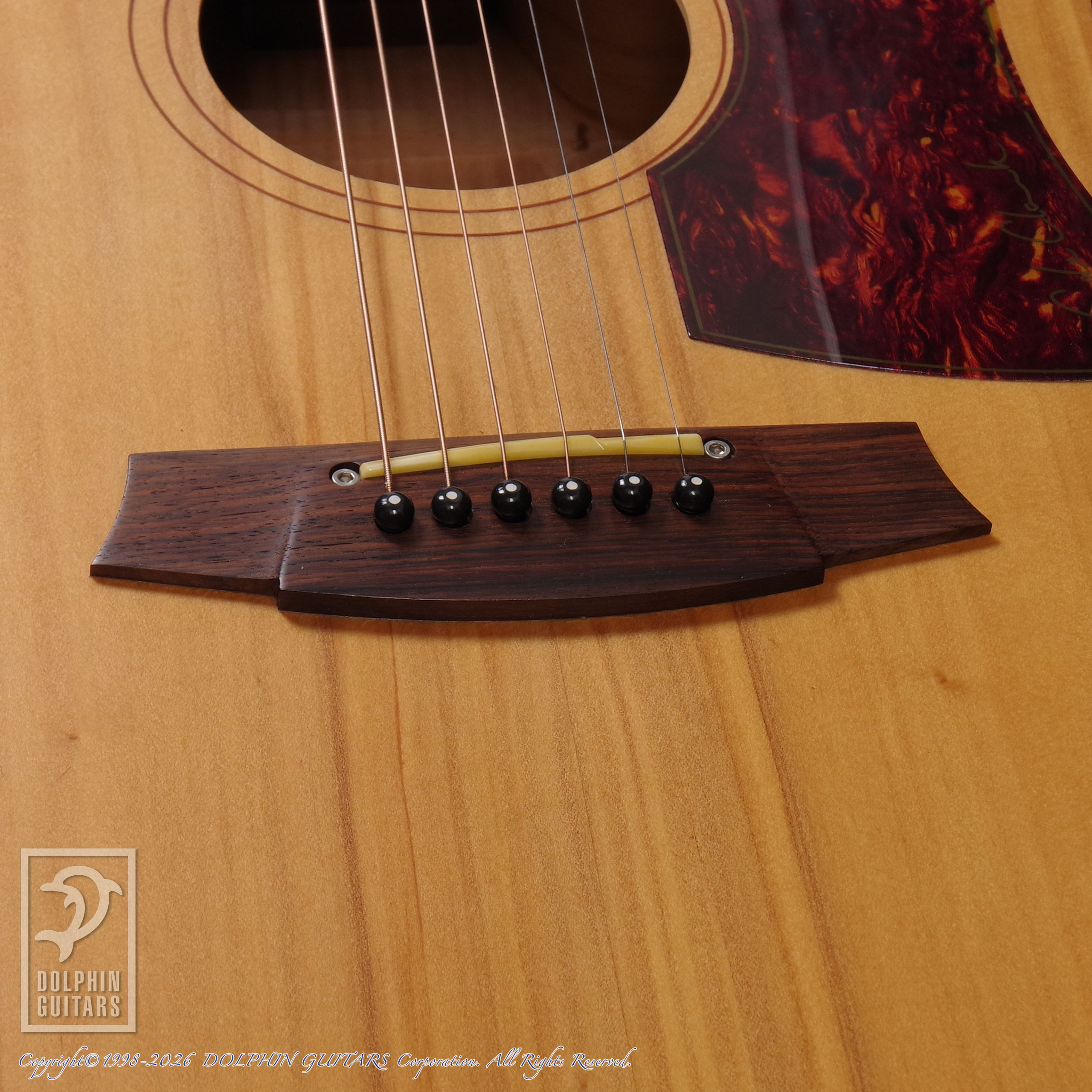 COLE CLARK: FL2AC画像11