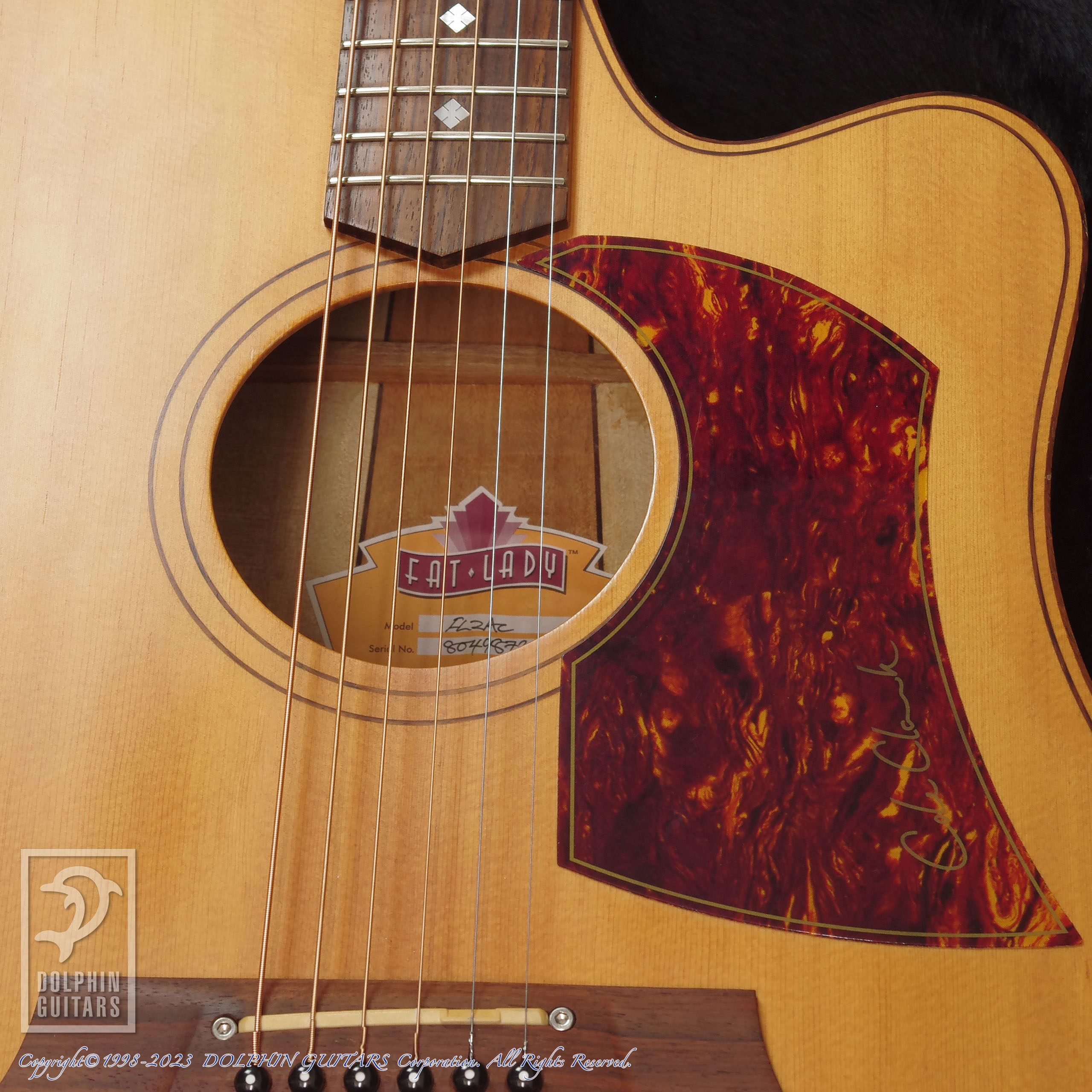 オンライン ショッピングおもちゃ・ホビー・グッズ - Cole Clark FL2AC