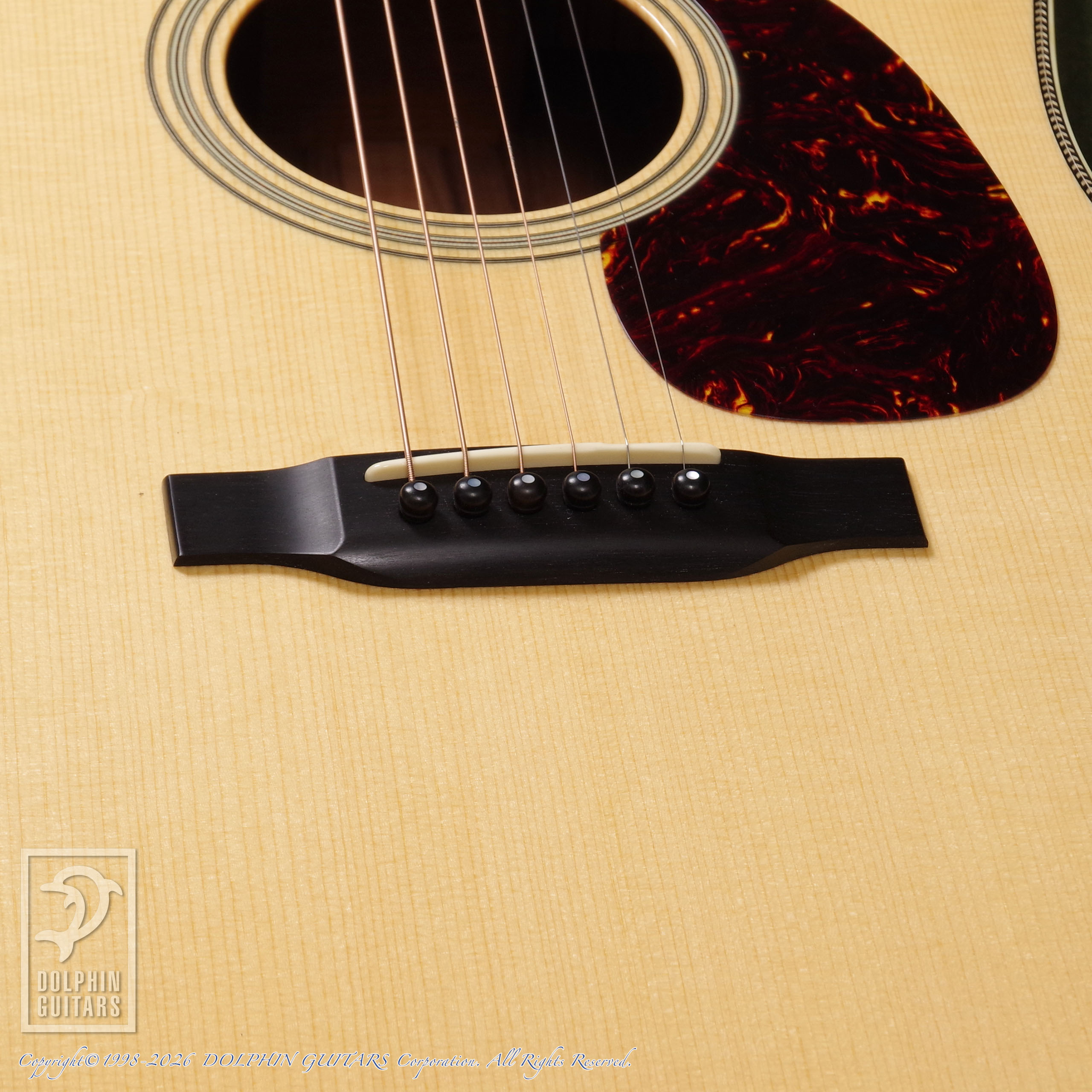 COLLINGS:D-2H SRG (German Spruce Sacha Rosewood)画像11