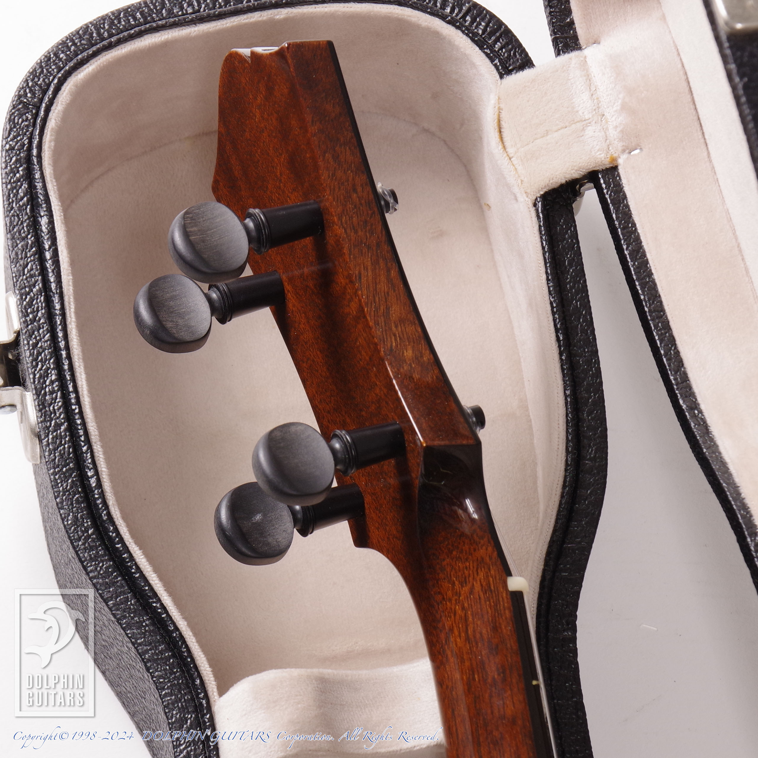 COLLINGS:UC-2 Indian SB (Spruce & Indian Rosewood)画像6