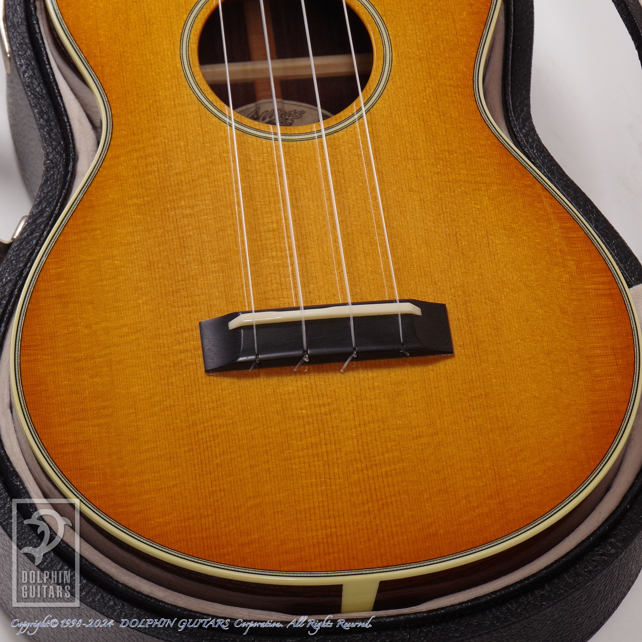 COLLINGS:UC-2 Indian SB (Spruce & Indian Rosewood)画像10