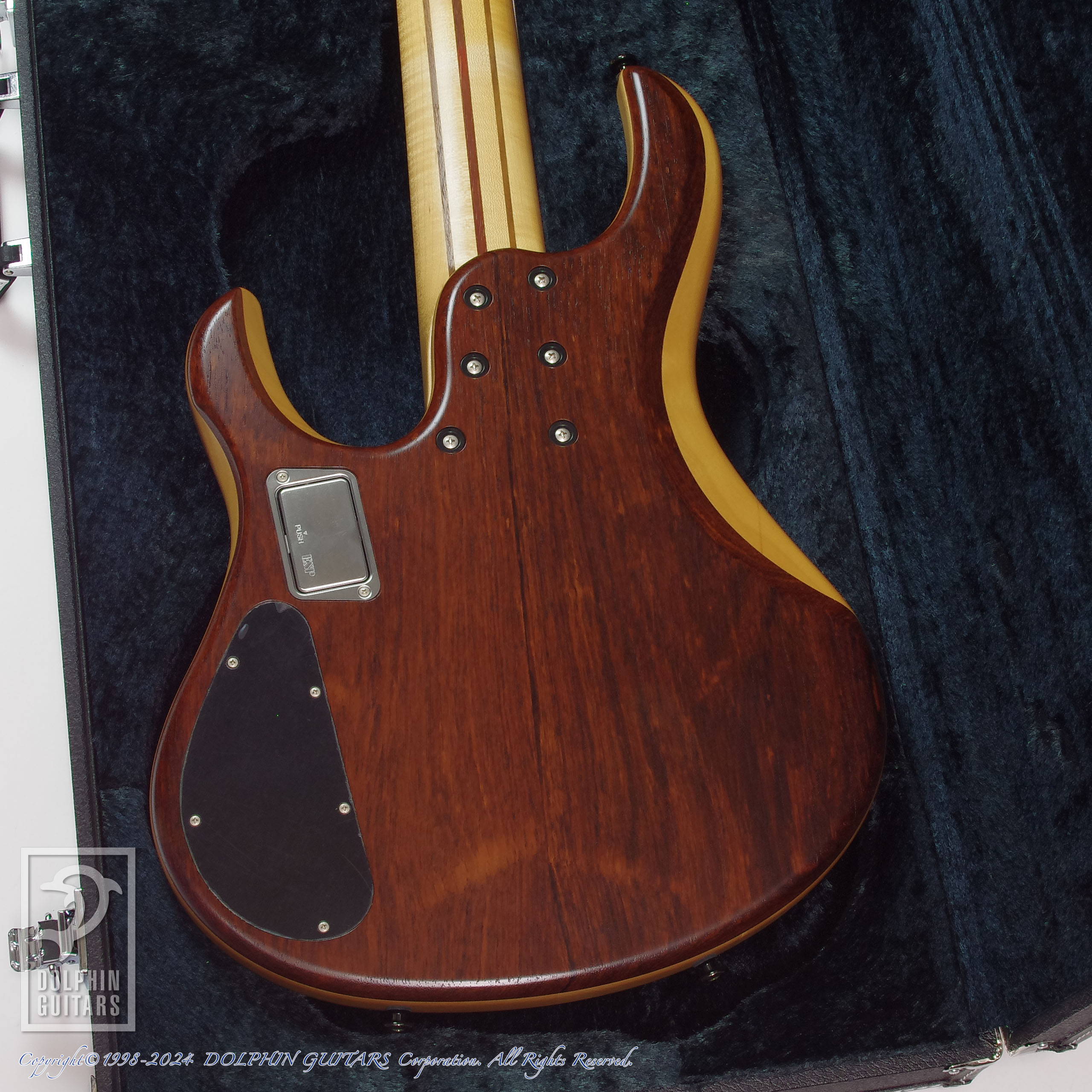 ESP:HALIBUT Custom (5-Strings Bass)