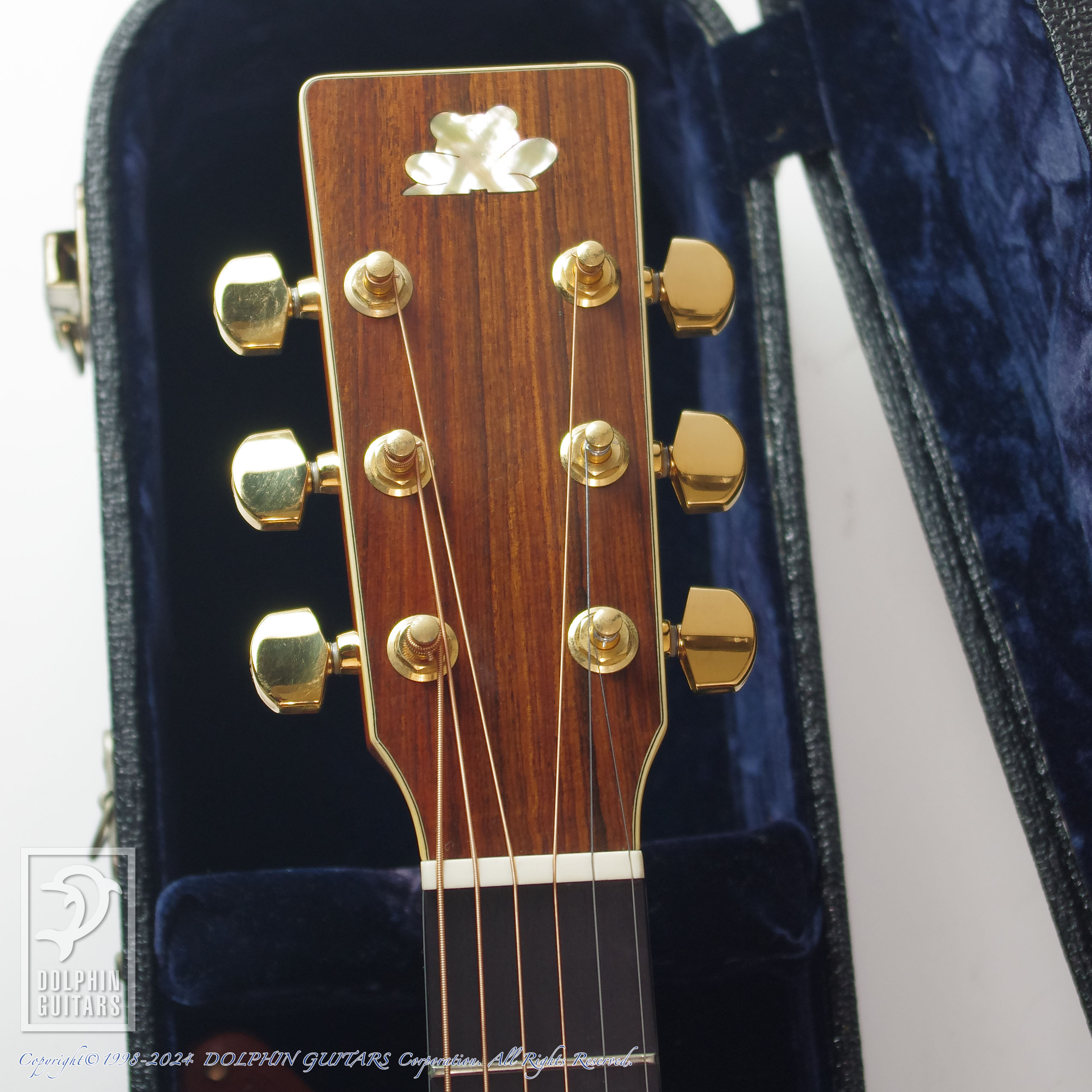 Froggy Bottom:Model J Cutaway (Flamed Maple)画像6