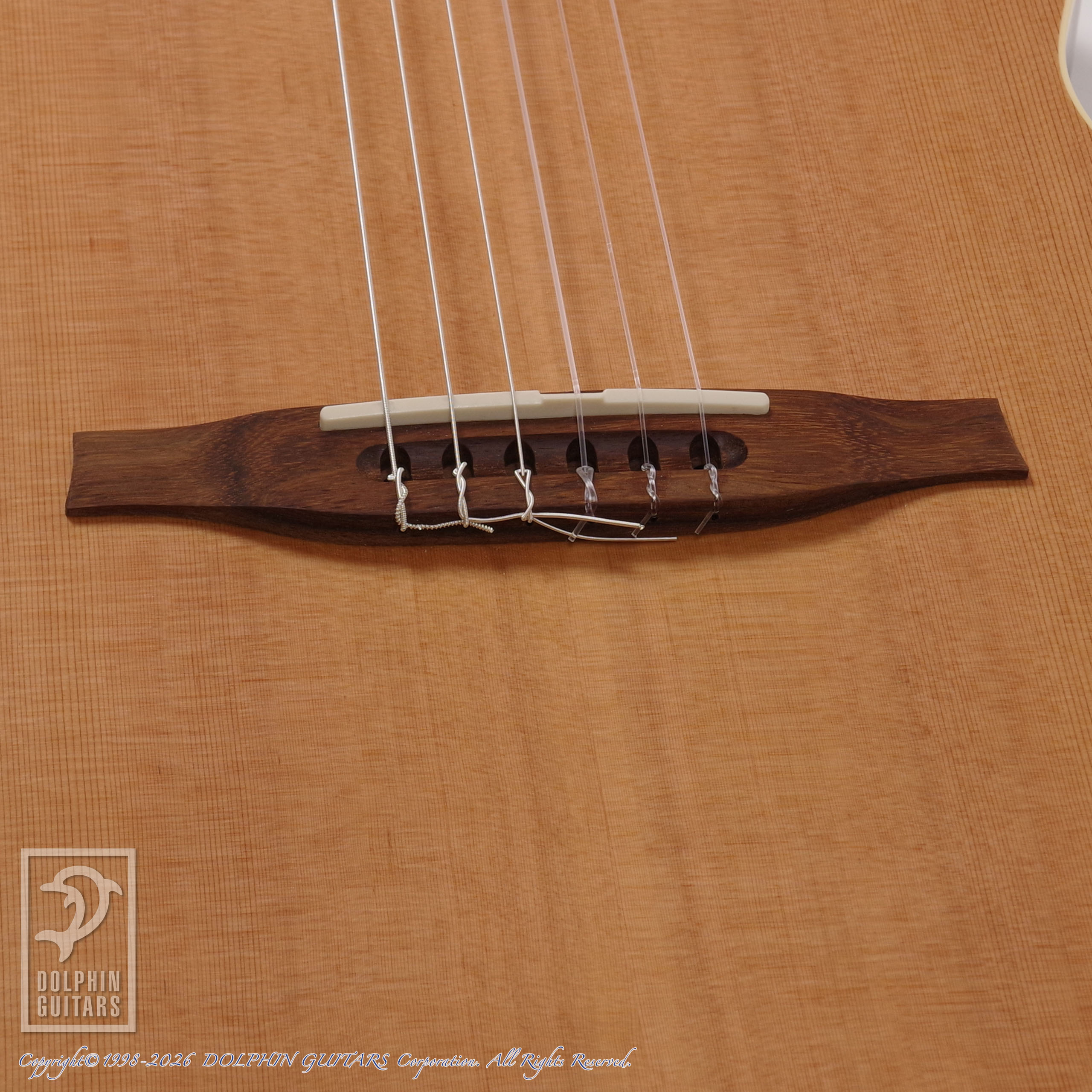 GODIN:Multiac Nylon Encore Natural SG画像8