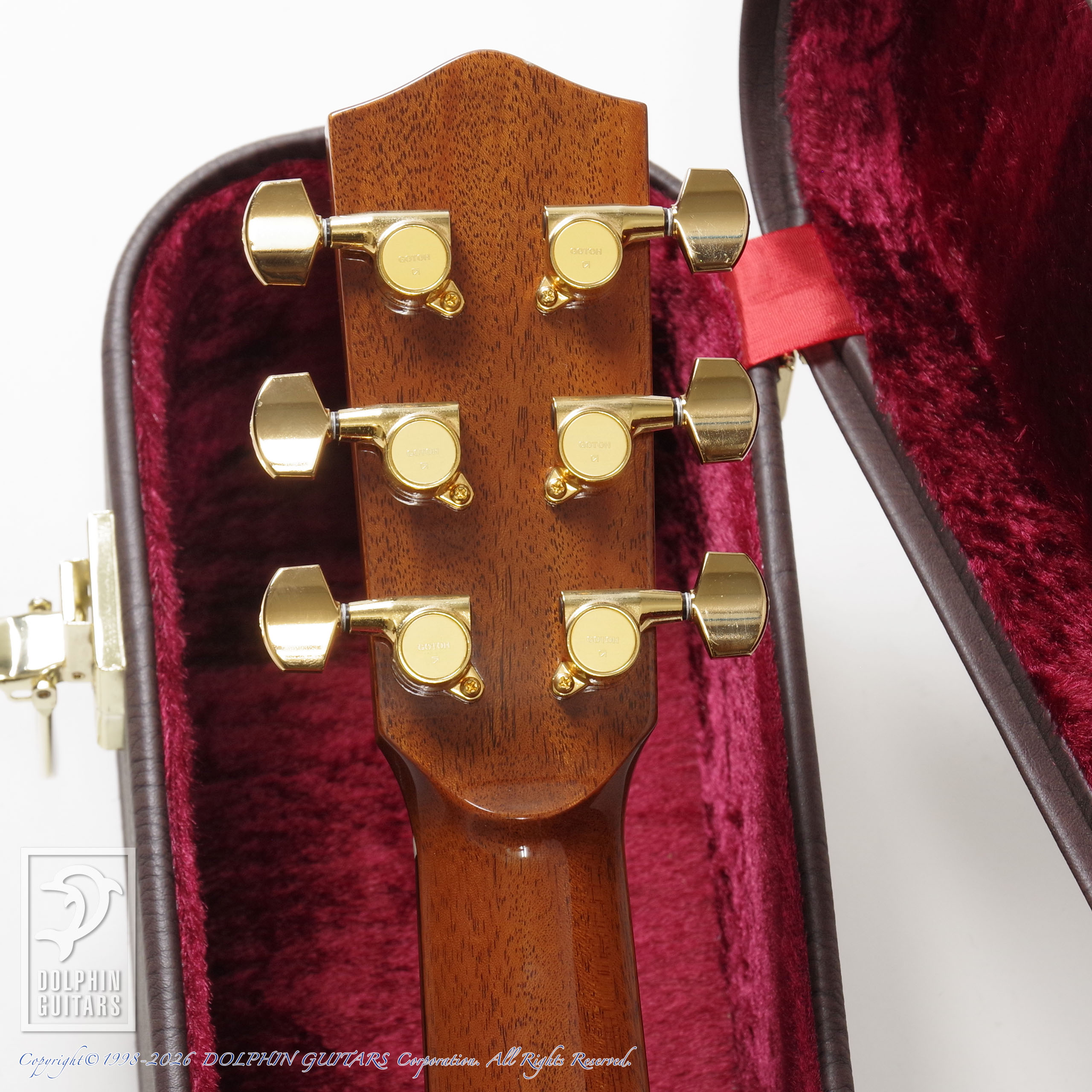 Greven Guitars Japan:Oshio-D HR (Honduras Rosewood)画像7
