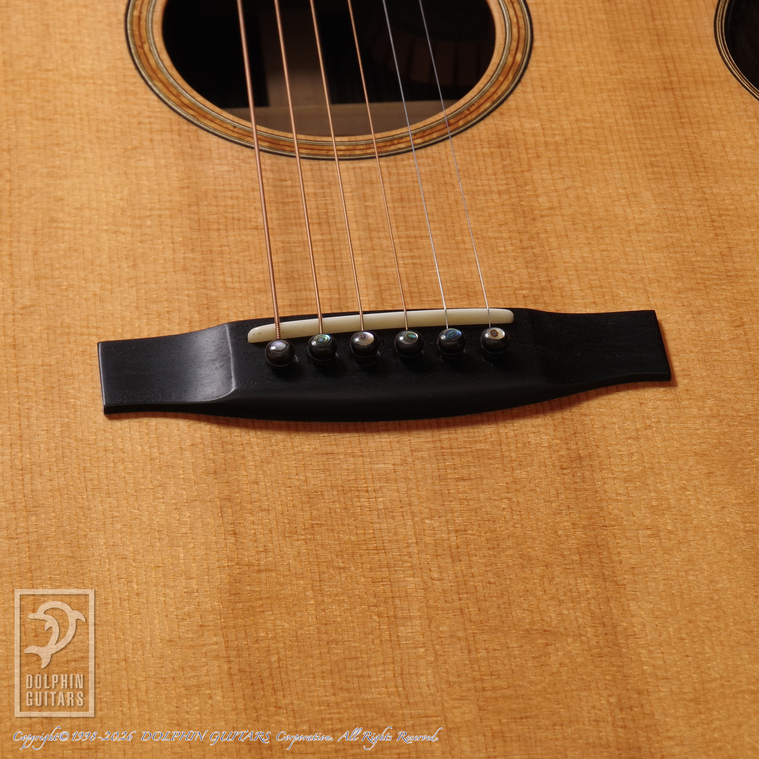 HIDAKA GUITARS:OM-02 Custom画像11