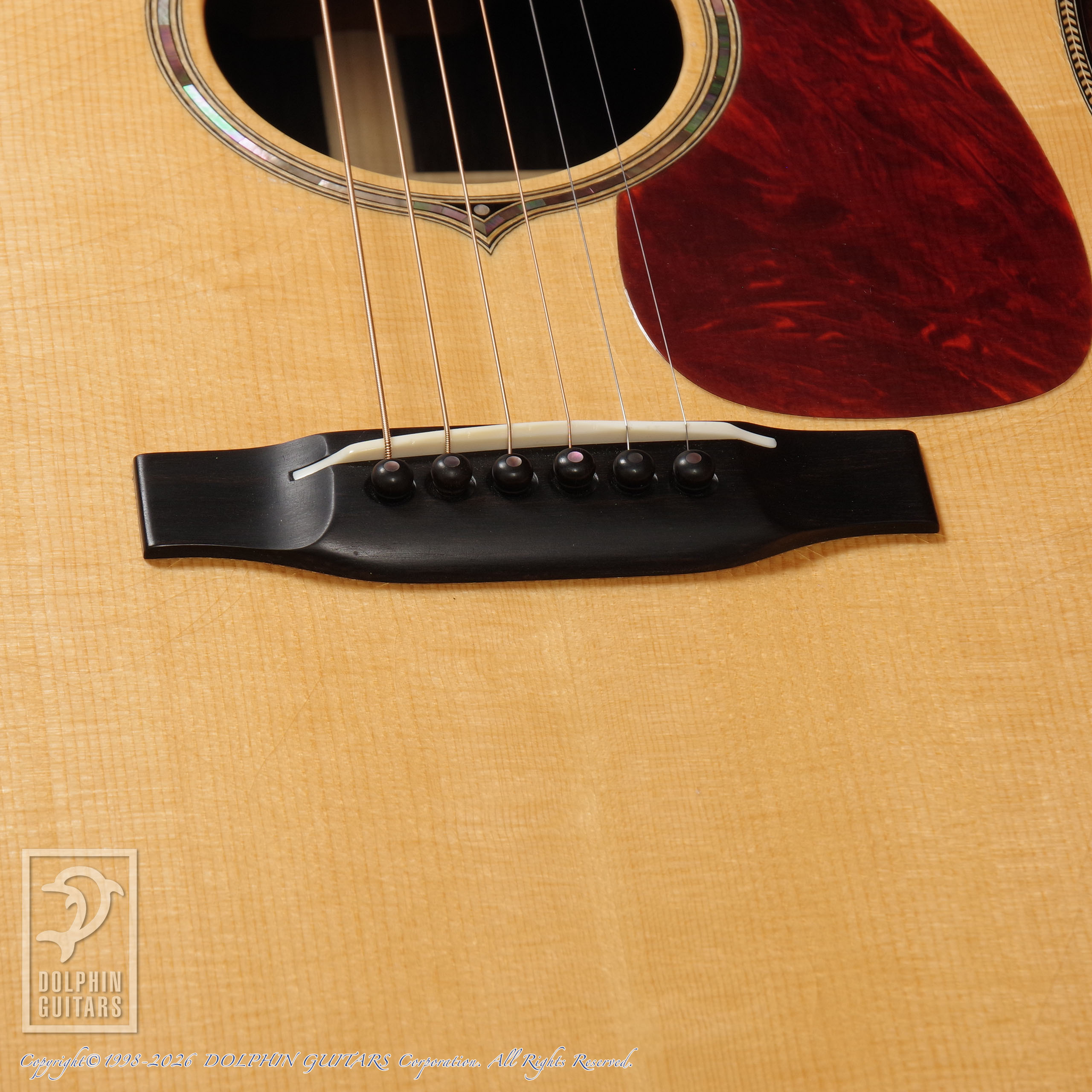 KAORU ACOUSTIC CRAFT:IS NOT! D-28 (Jacaranda)画像11