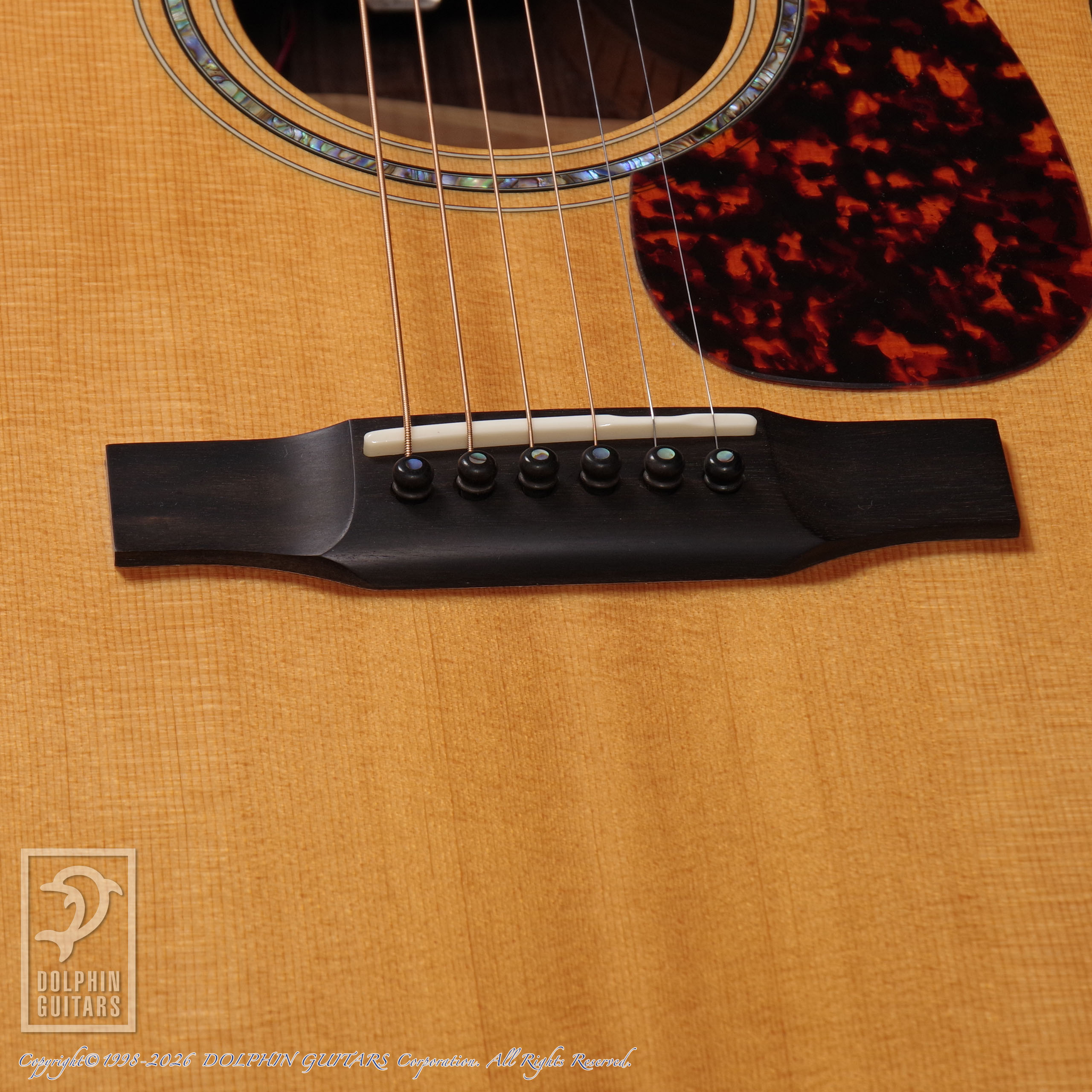 LARRIVEE:OMV-09 Rosewood画像11