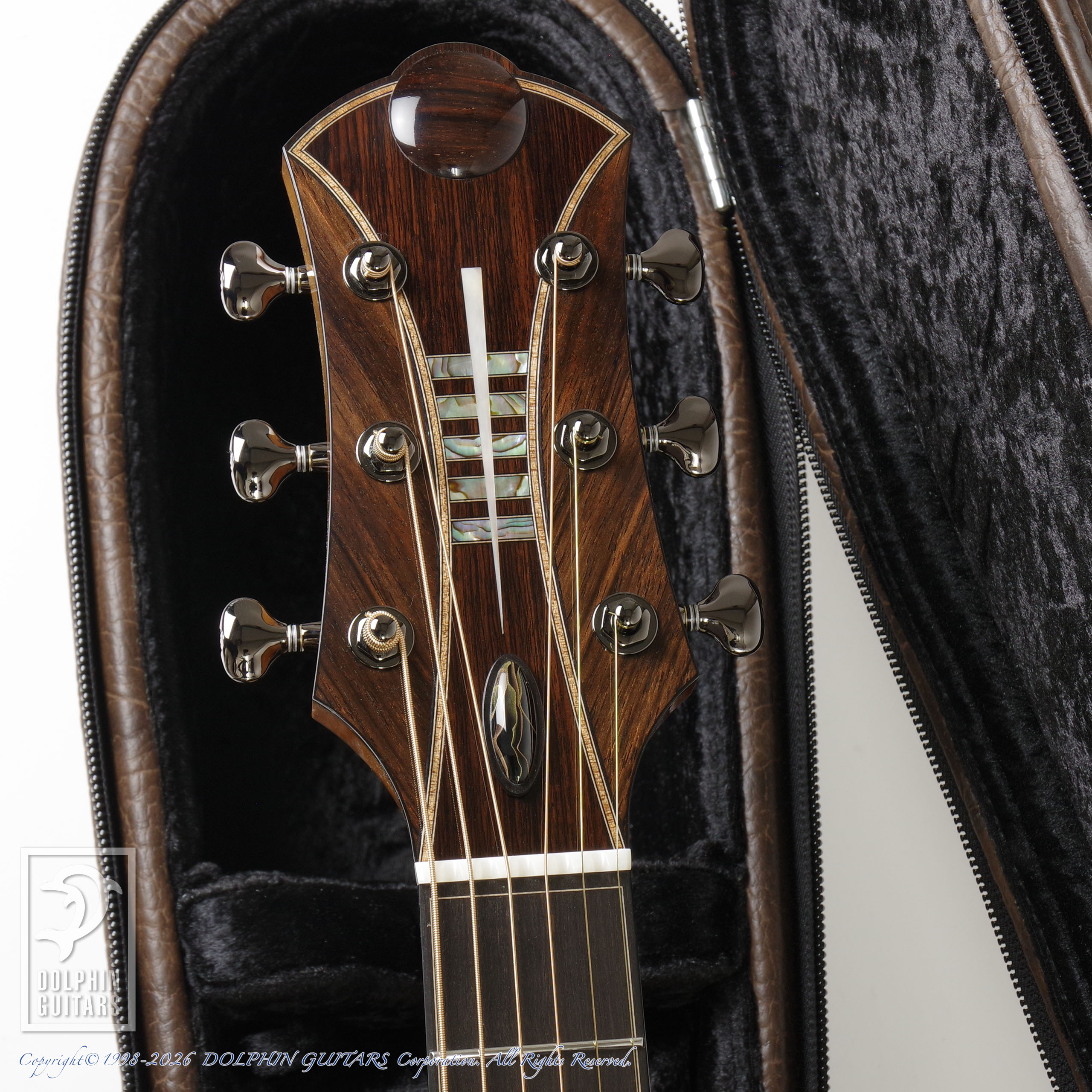 Legacy Project:Dusk (SJ Cutaway)画像6