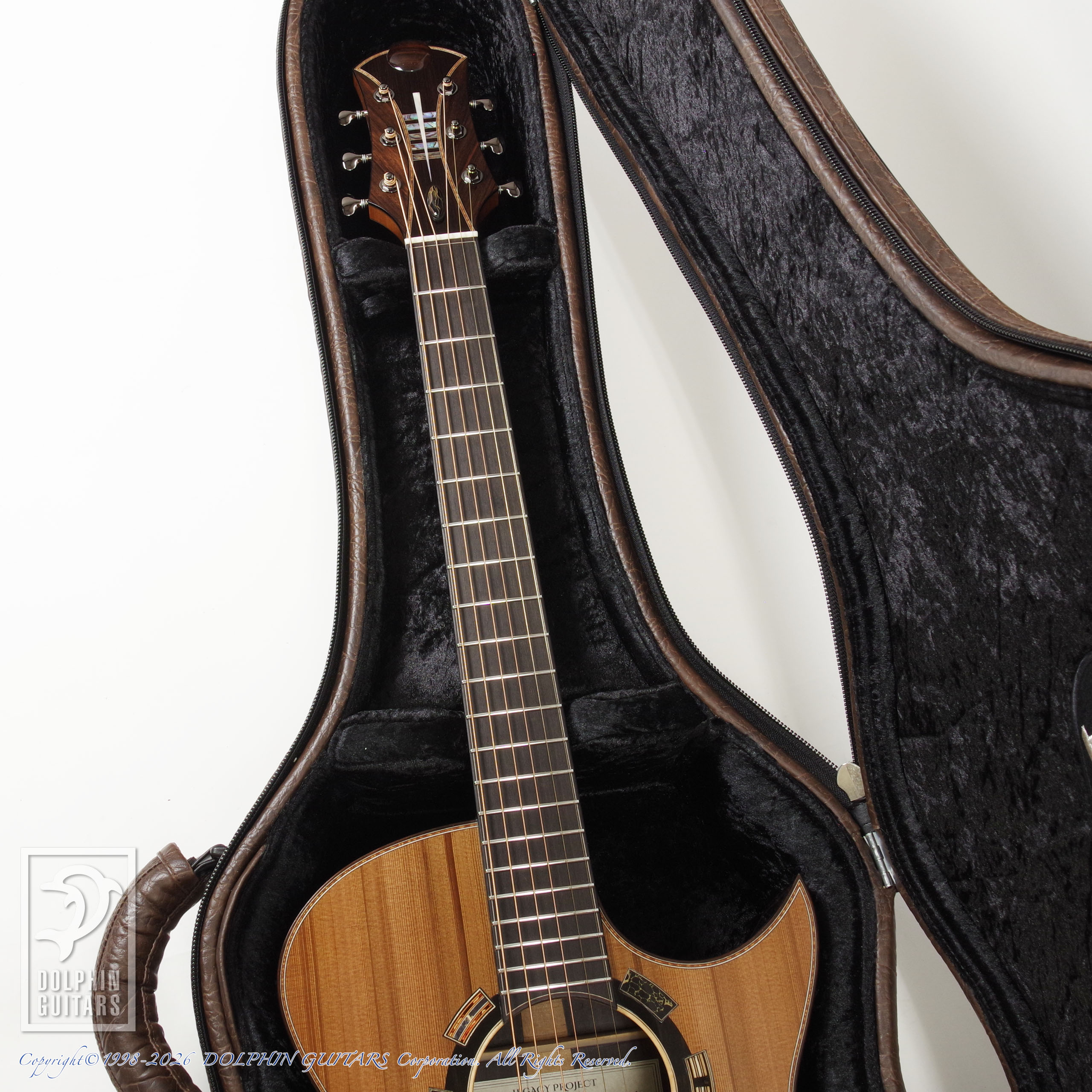 Legacy Project:Dusk (SJ Cutaway)画像8