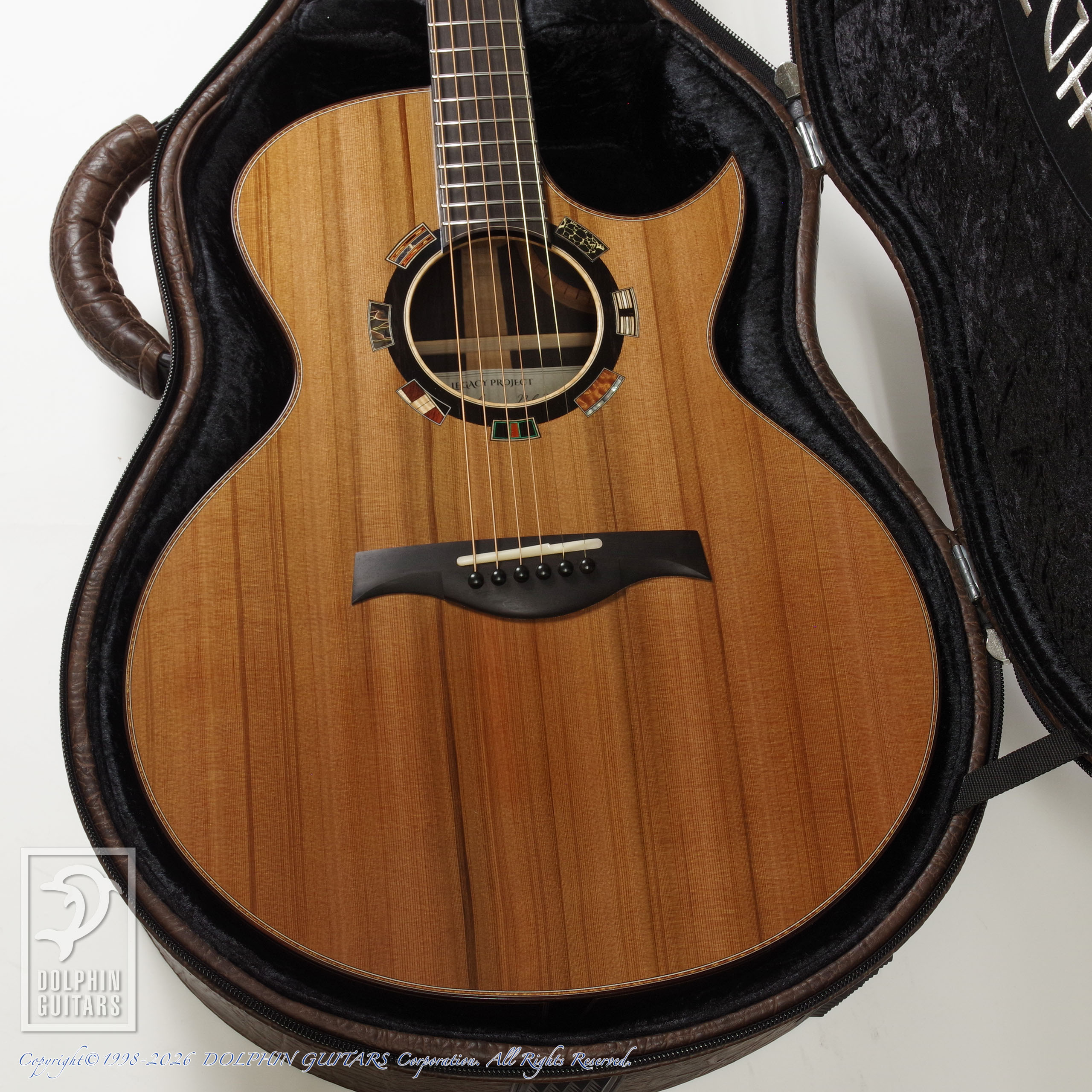 Legacy Project:Dusk (SJ Cutaway)画像10