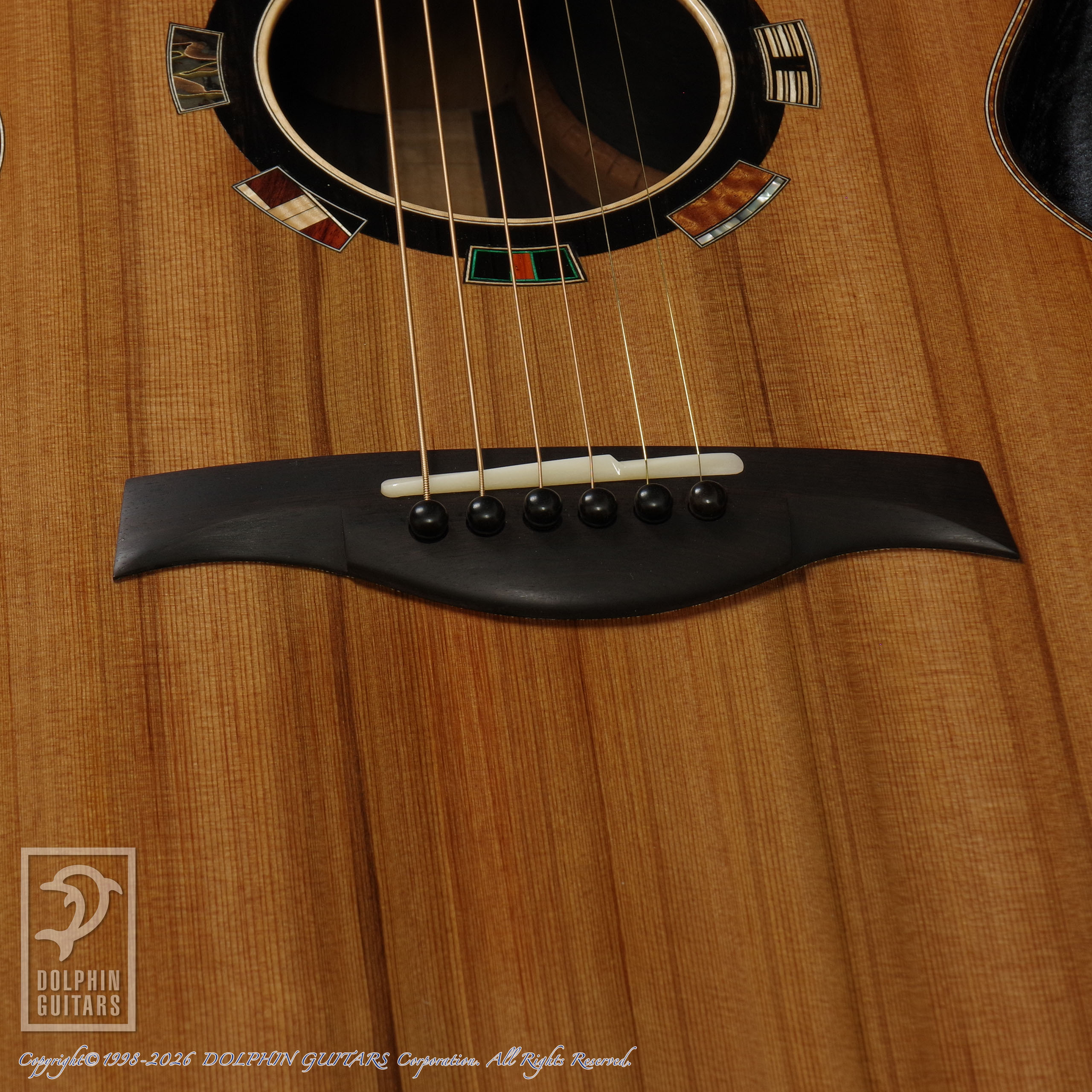 Legacy Project:Dusk (SJ Cutaway)画像11