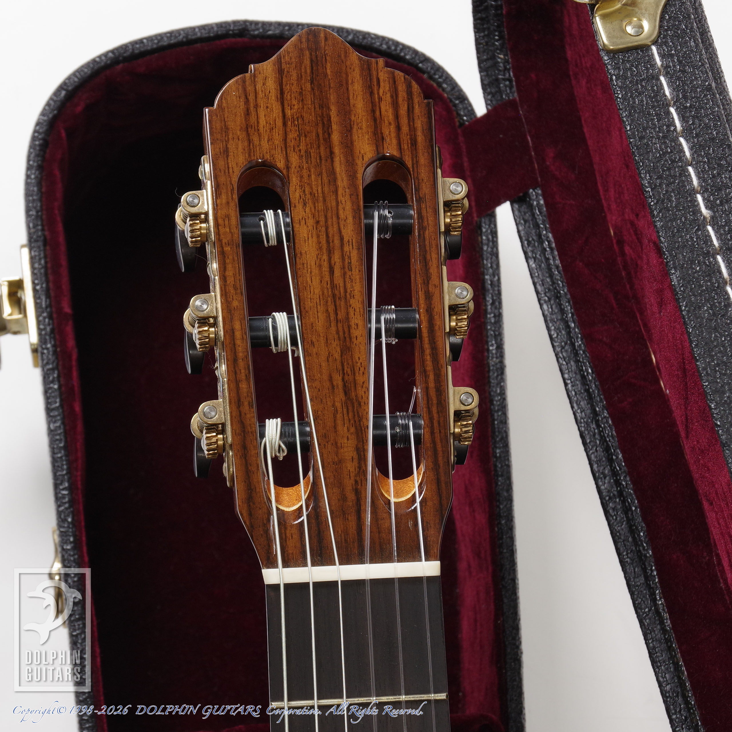 LESTER DEVOE:Flamenco Negra (Nylon Strings)画像6
