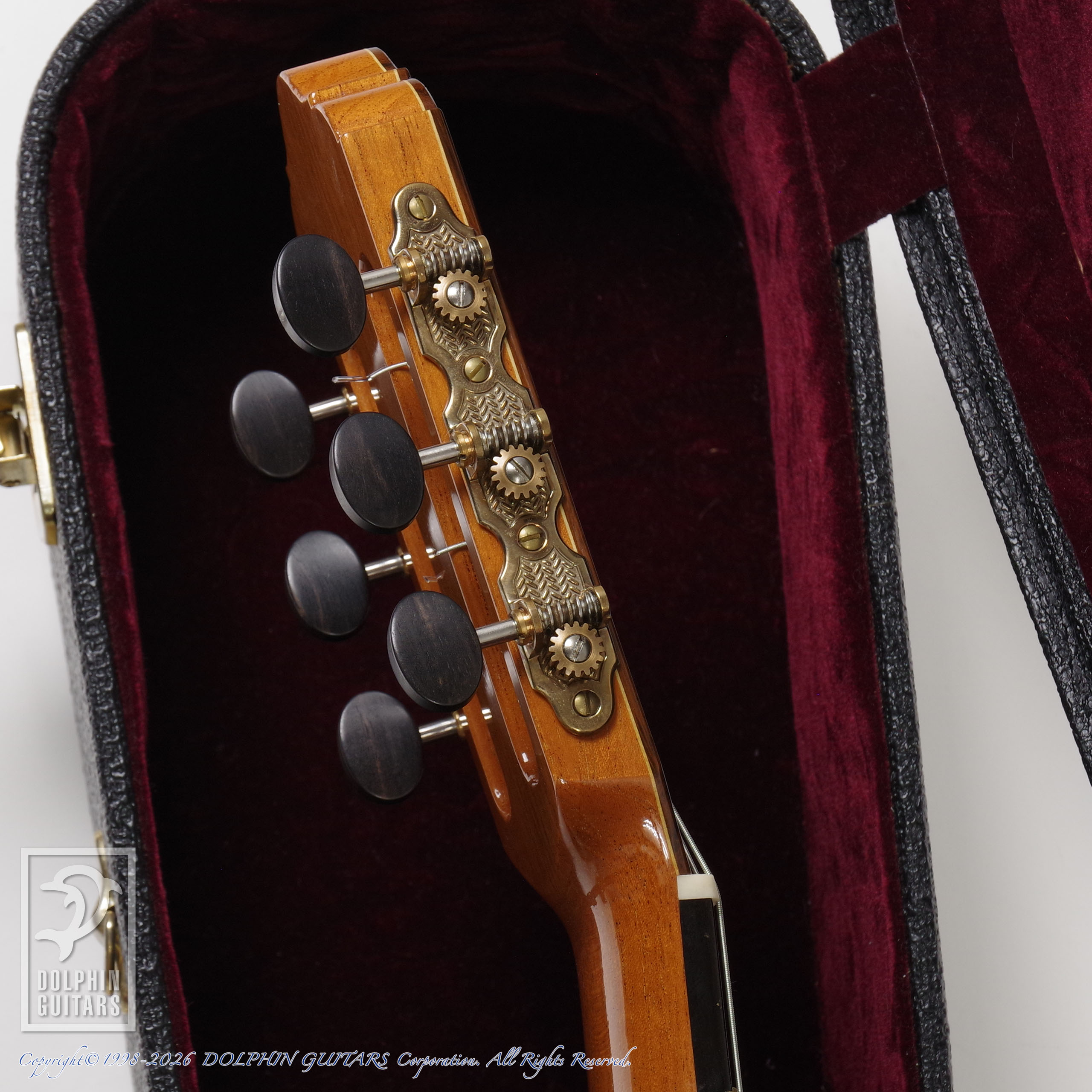 LESTER DEVOE:Flamenco Negra (Nylon Strings)画像7