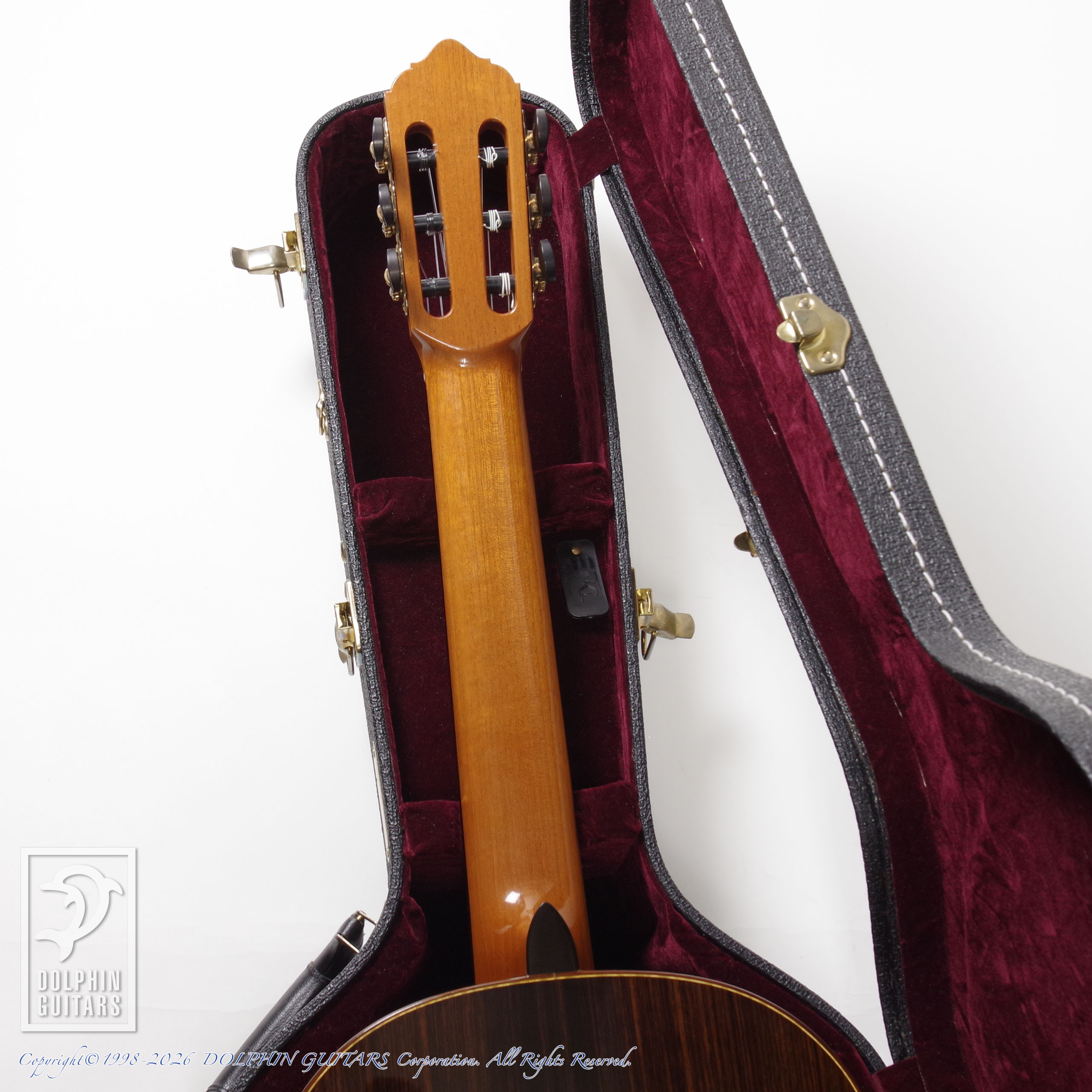 LESTER DEVOE:Flamenco Negra (Nylon Strings)画像9