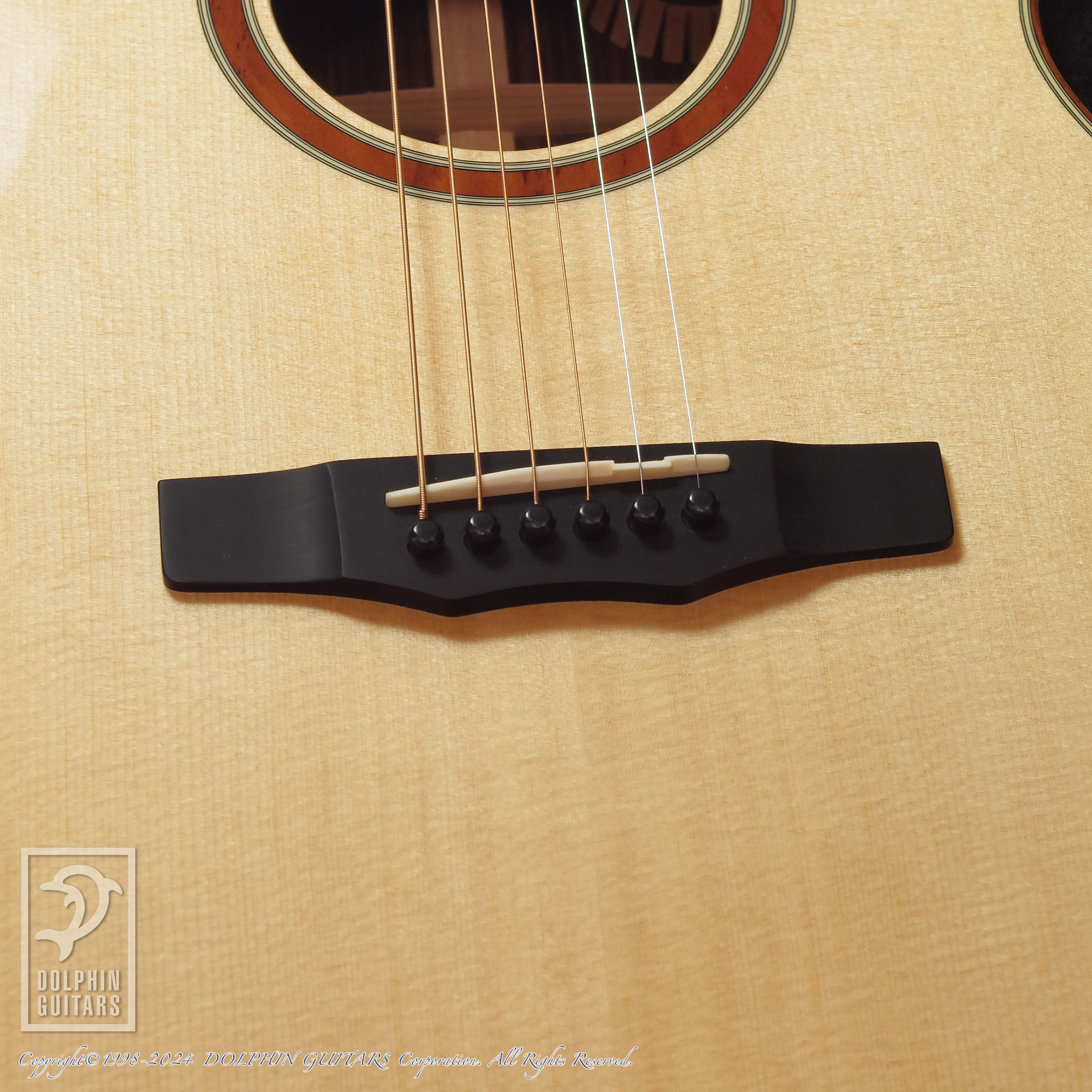 MORRIS:SE-103画像11