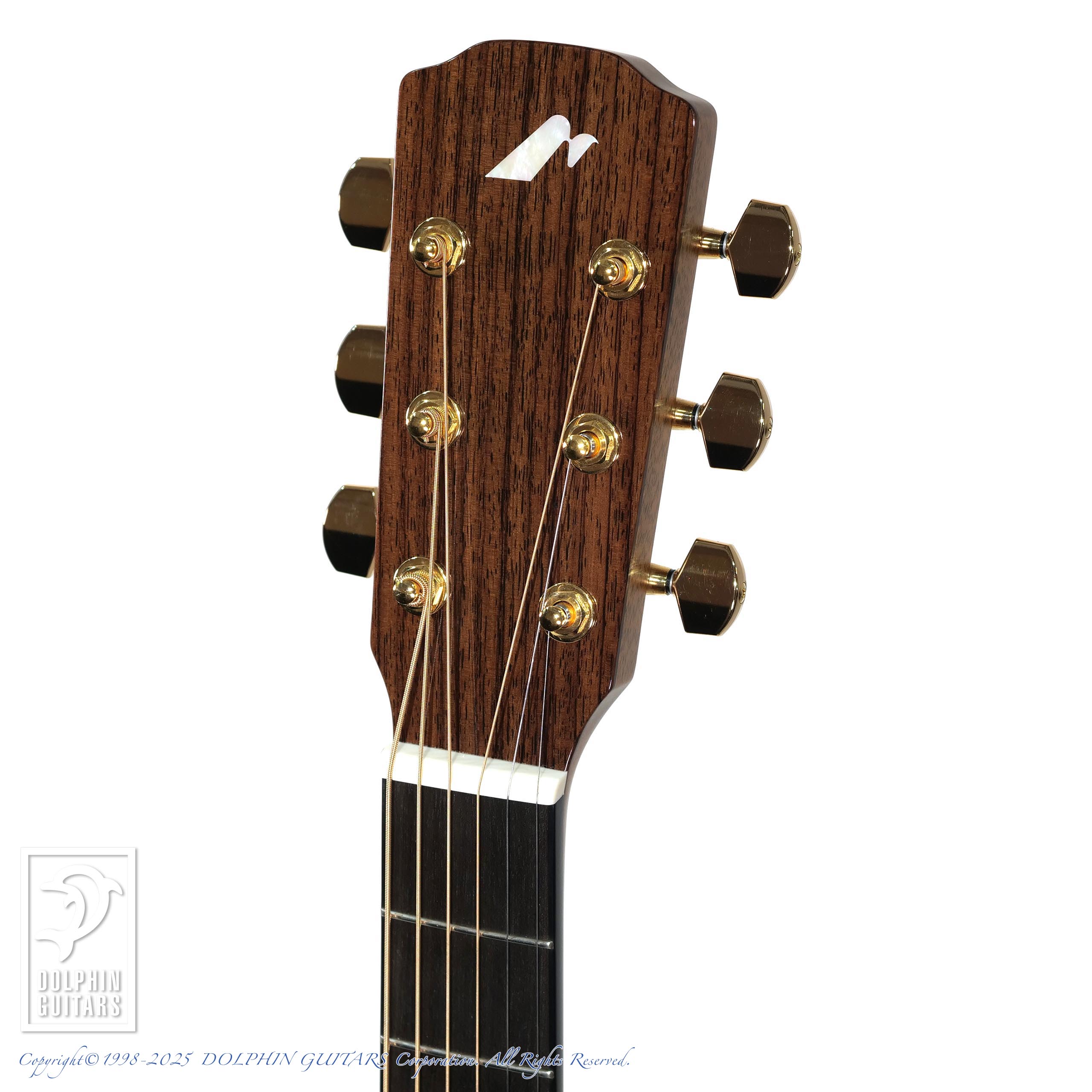 アコースティックギター　morris Morris MF-252 Acoustic Guitars アコースティックギター