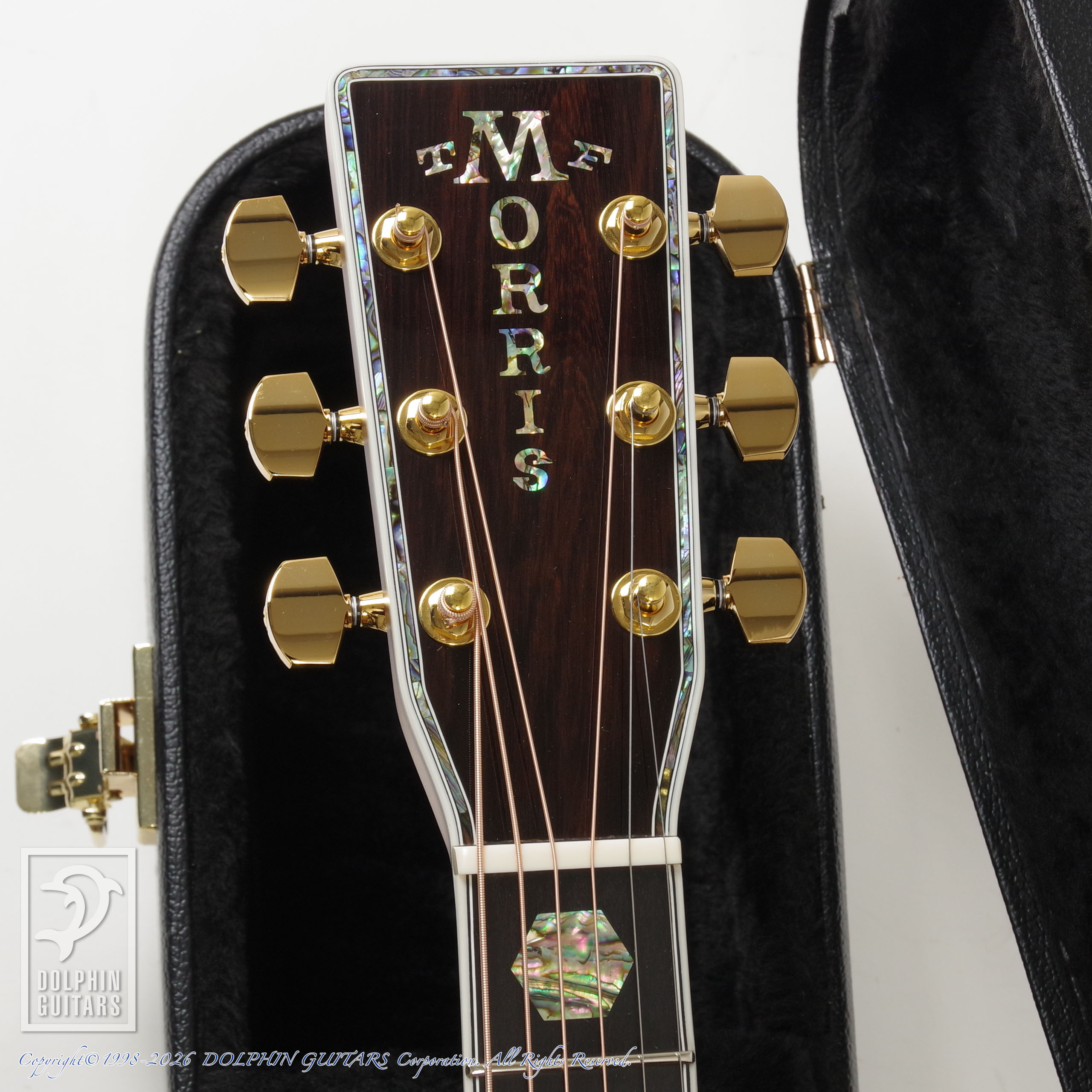MORRIS:W-300 Custom (Jacaranda)画像6
