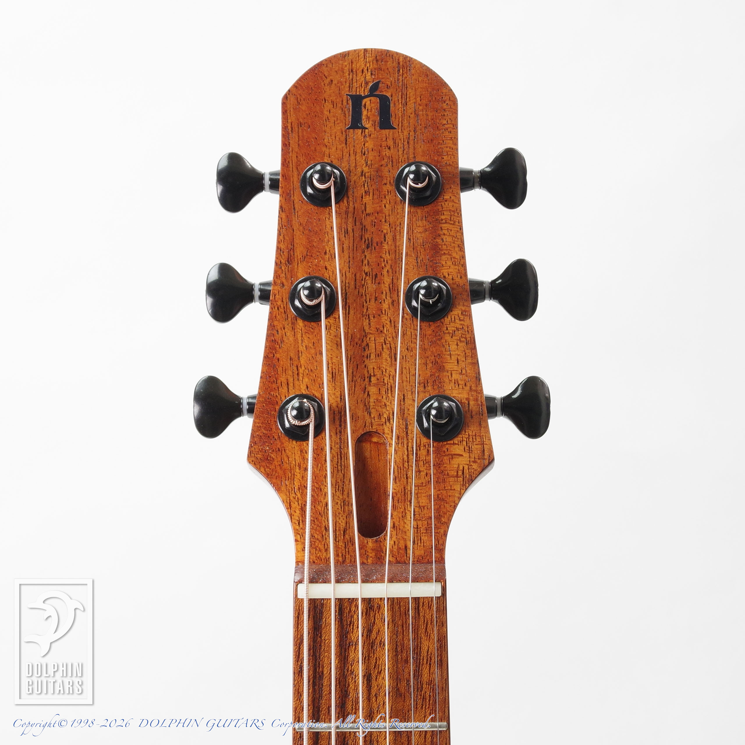 NATASHA:NBSG Steel Smart Guitar (Mahogany)画像4