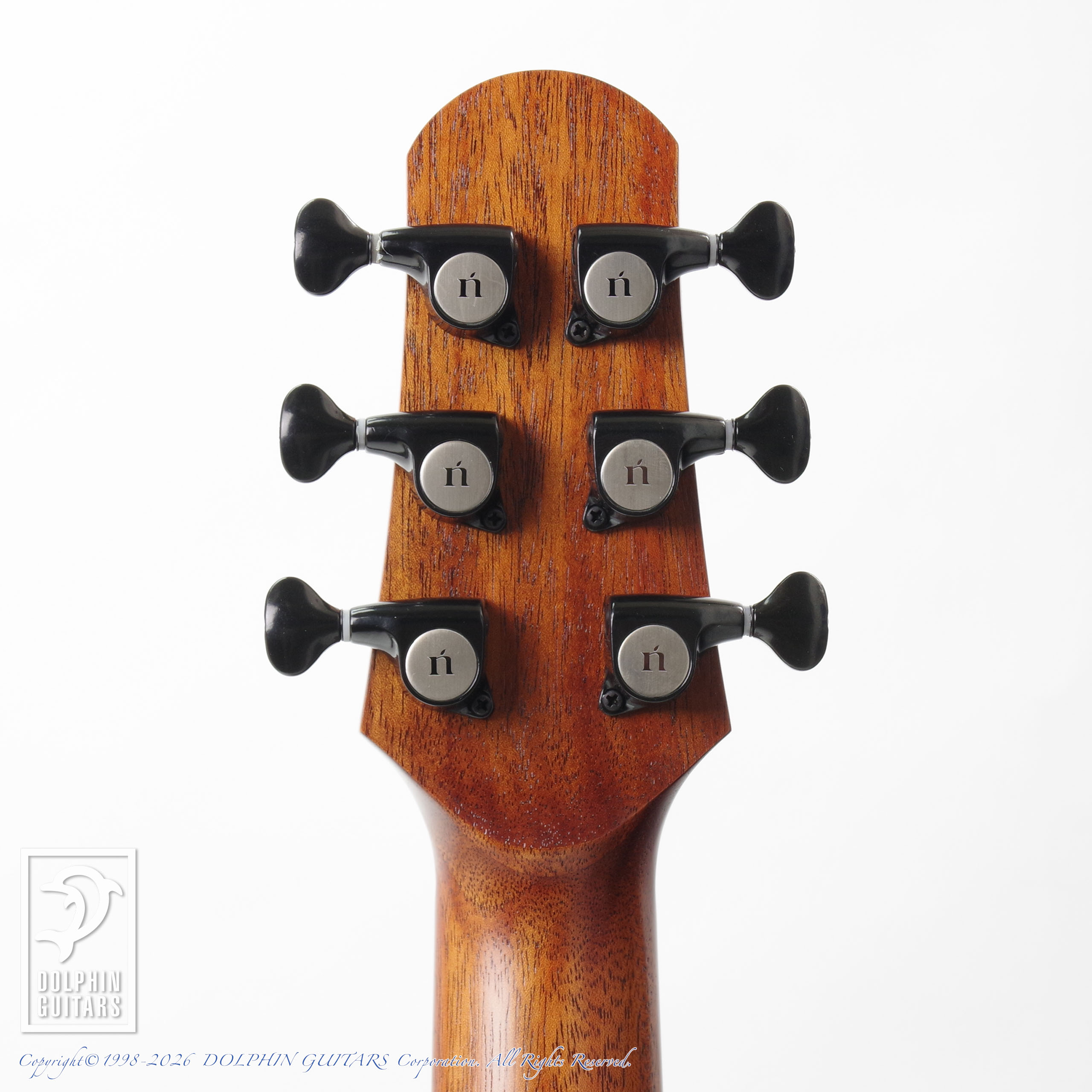 NATASHA:NBSG Steel Smart Guitar (Mahogany)画像5