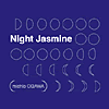 小川　倫生・Night Jasmine・CD